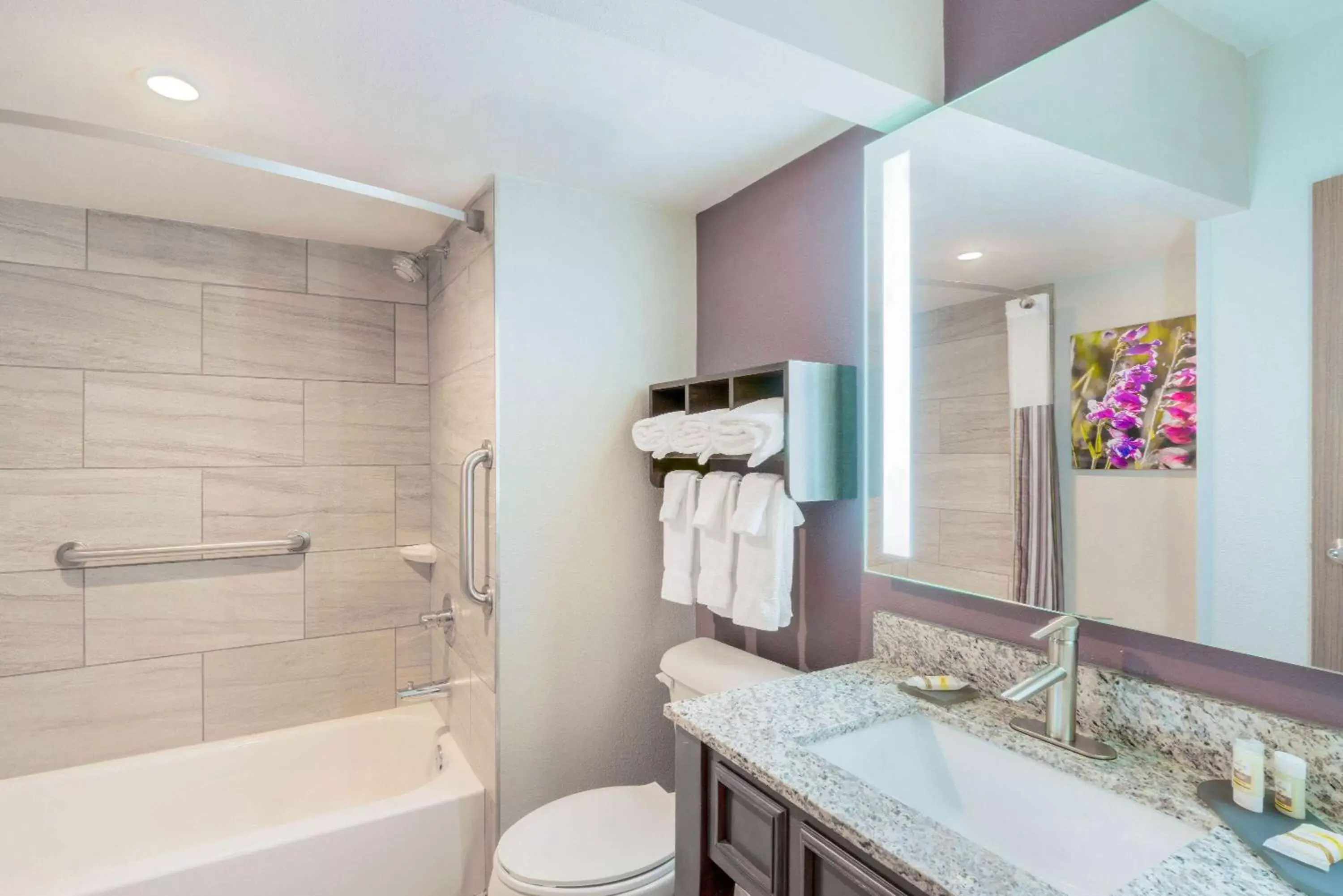 Bathroom in La Quinta by Wyndham Glenwood Springs