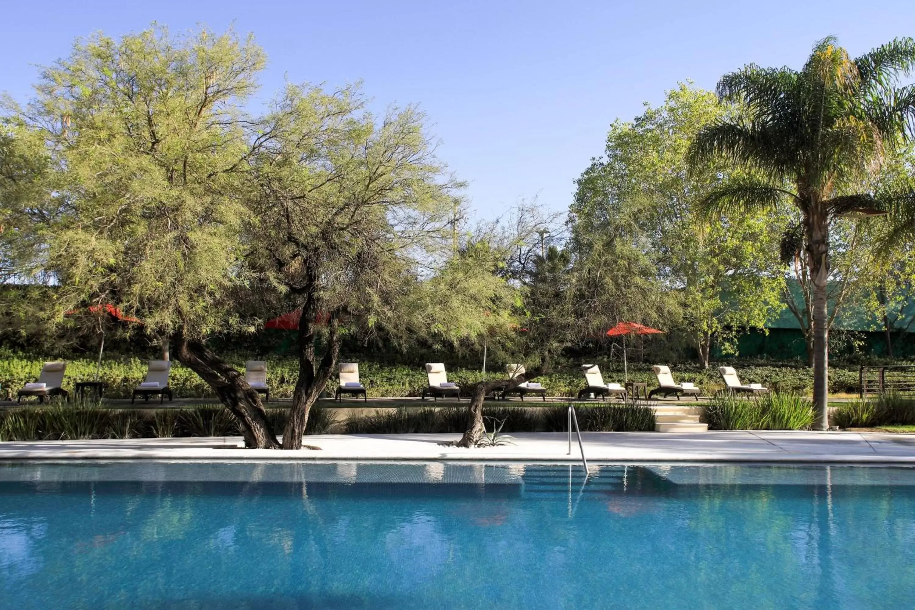 Swimming Pool in Aguascalientes Marriott Hotel