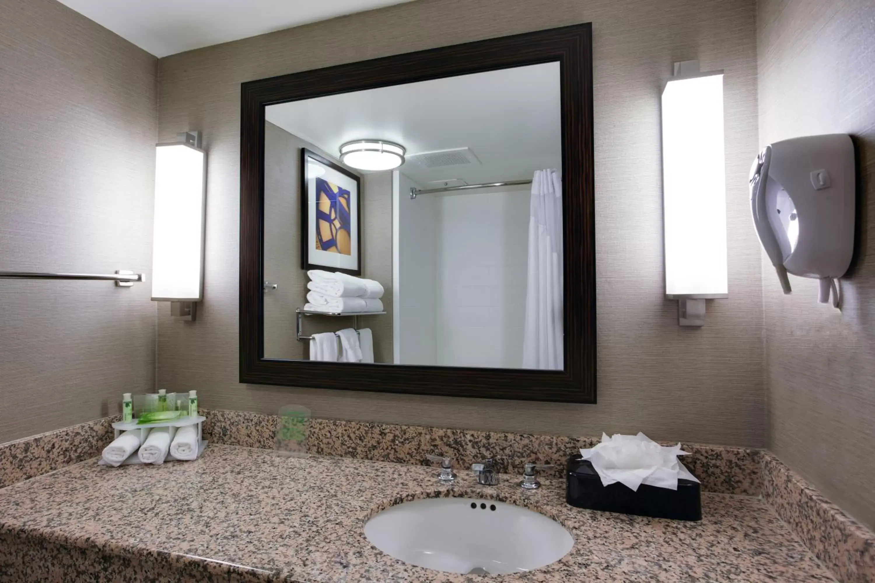 Bathroom in Holiday Inn Express Hotel & Suites Meadowlands Area, an IHG Hotel
