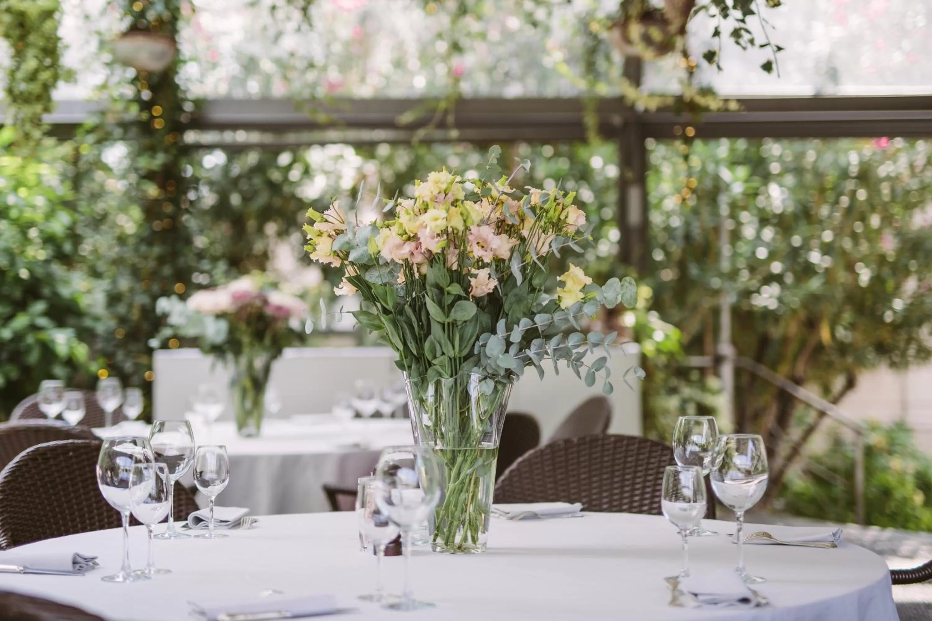 Restaurant/places to eat in Albergo Terminus