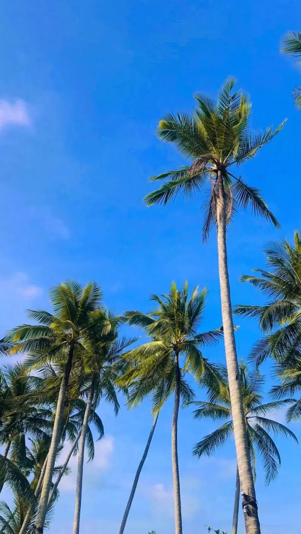 Day in TUI BLUE The Passage Samui Private Pool Villas & Beach Resort