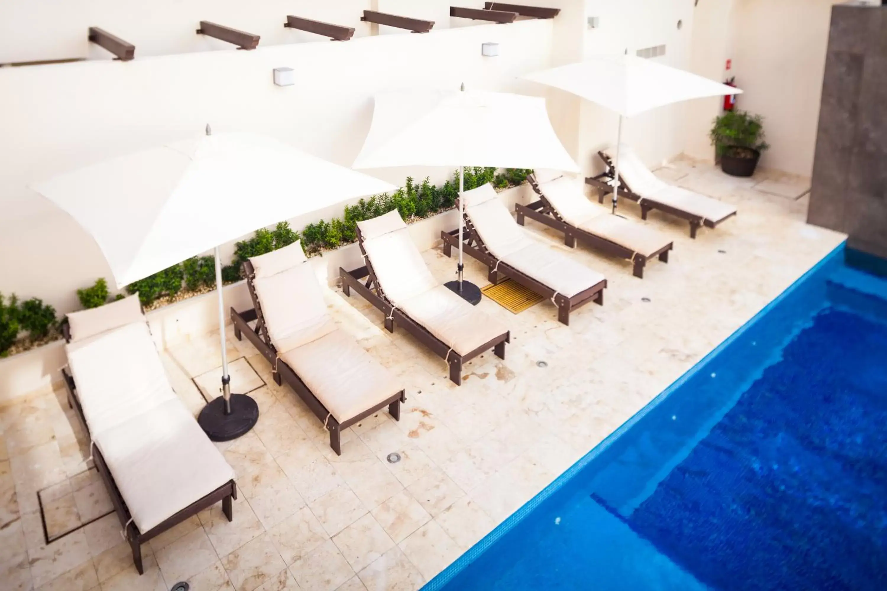 Swimming pool, Pool View in Aspira Hotel Playa del Carmen