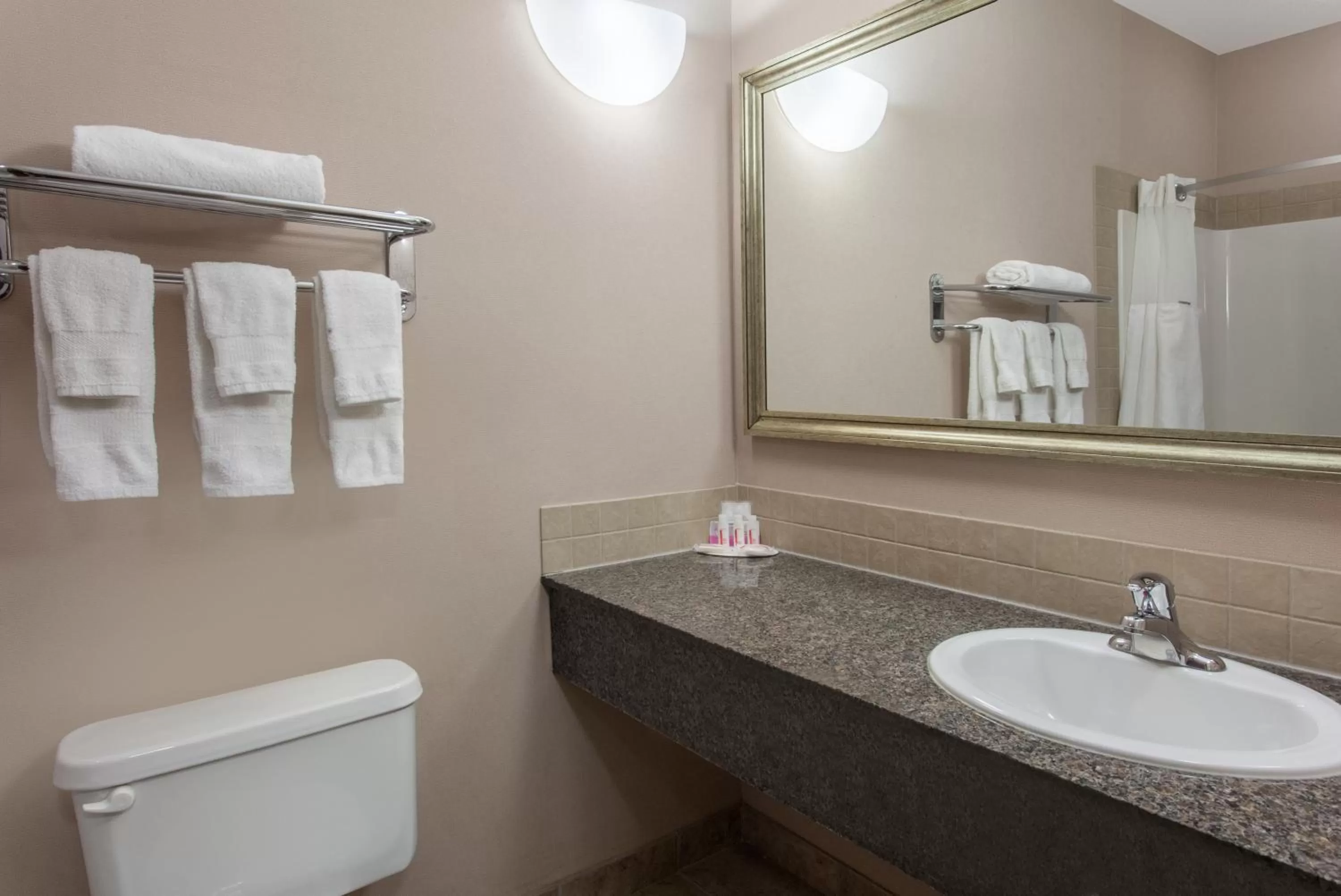 Bathroom in Ramada by Wyndham Brooks