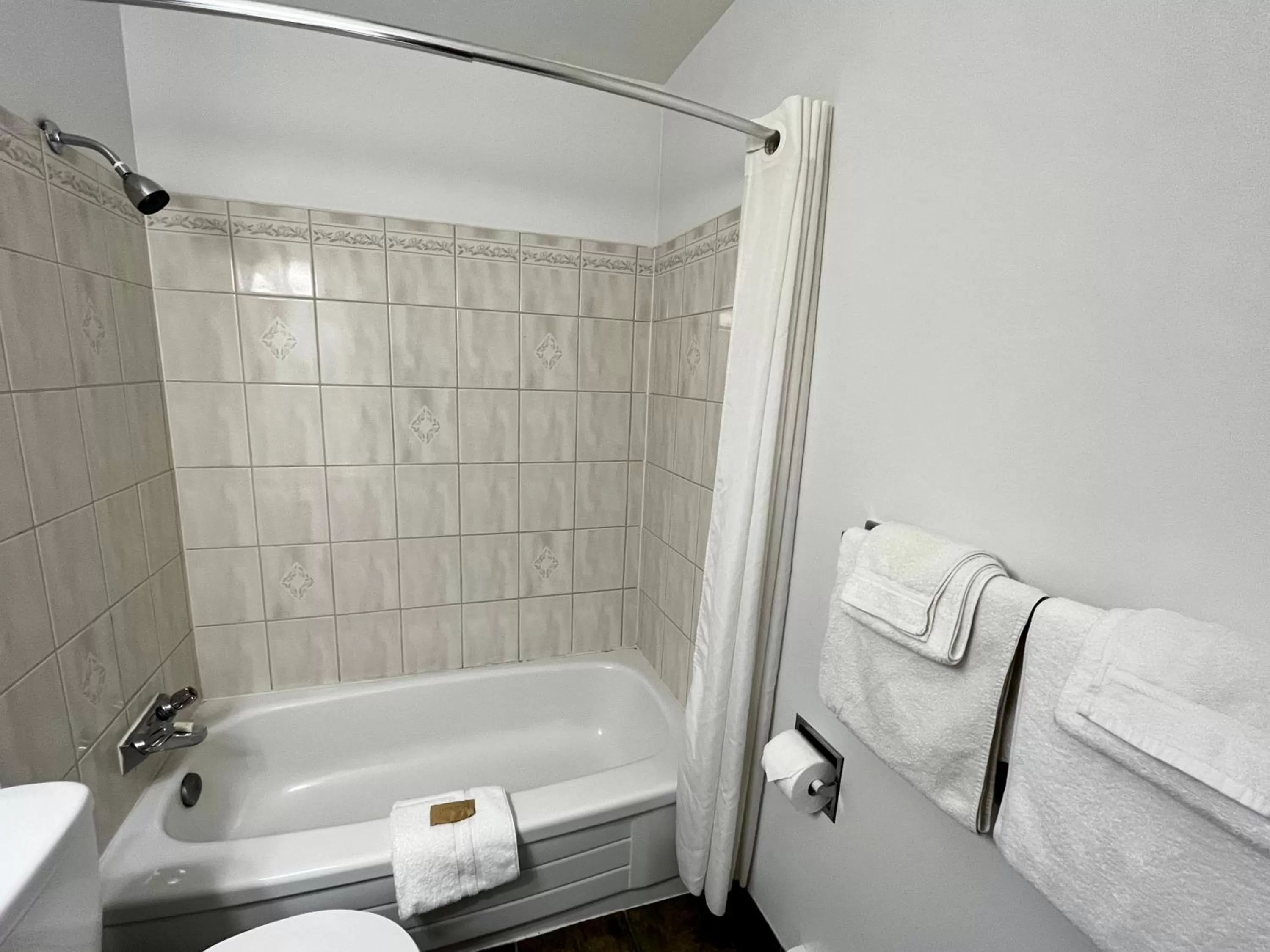 Shower in Anavada Inn & Suites - Prince George