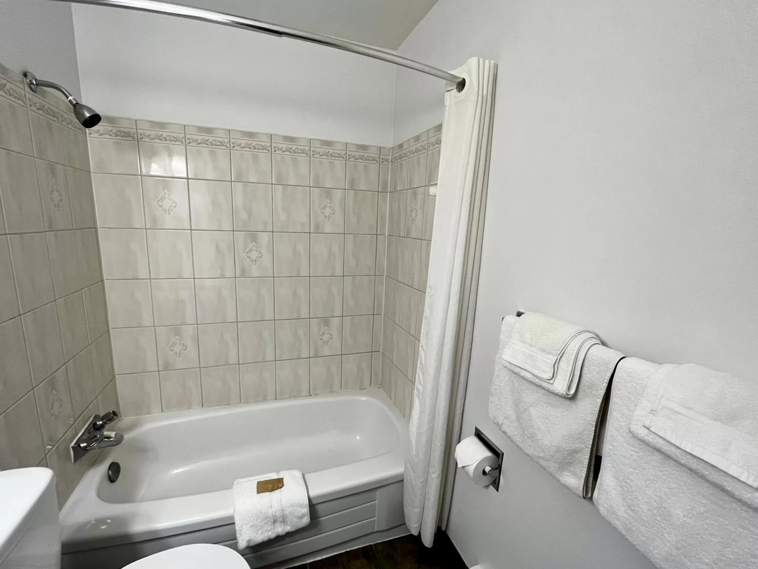 Shower, Bathroom in Anavada Inn & Suites - Prince George