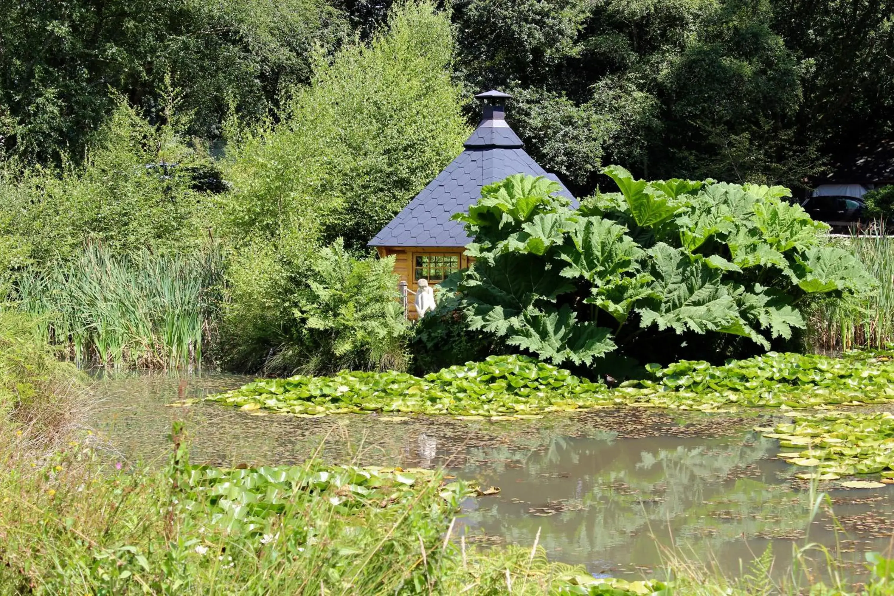 Garden, Property Building in Chycara