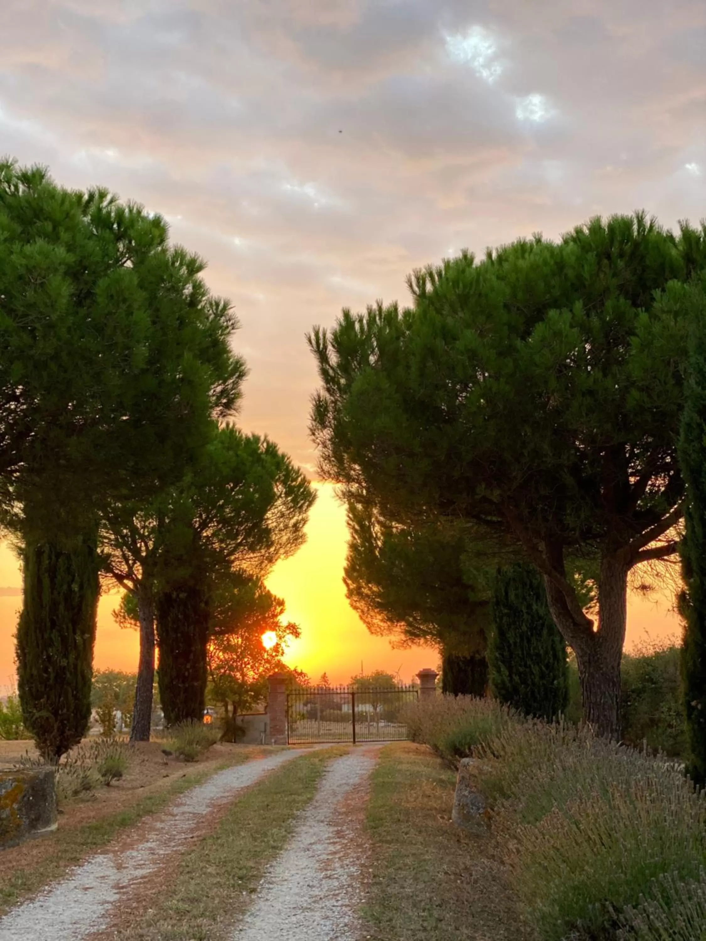Garden in Manoir du Bouyssou