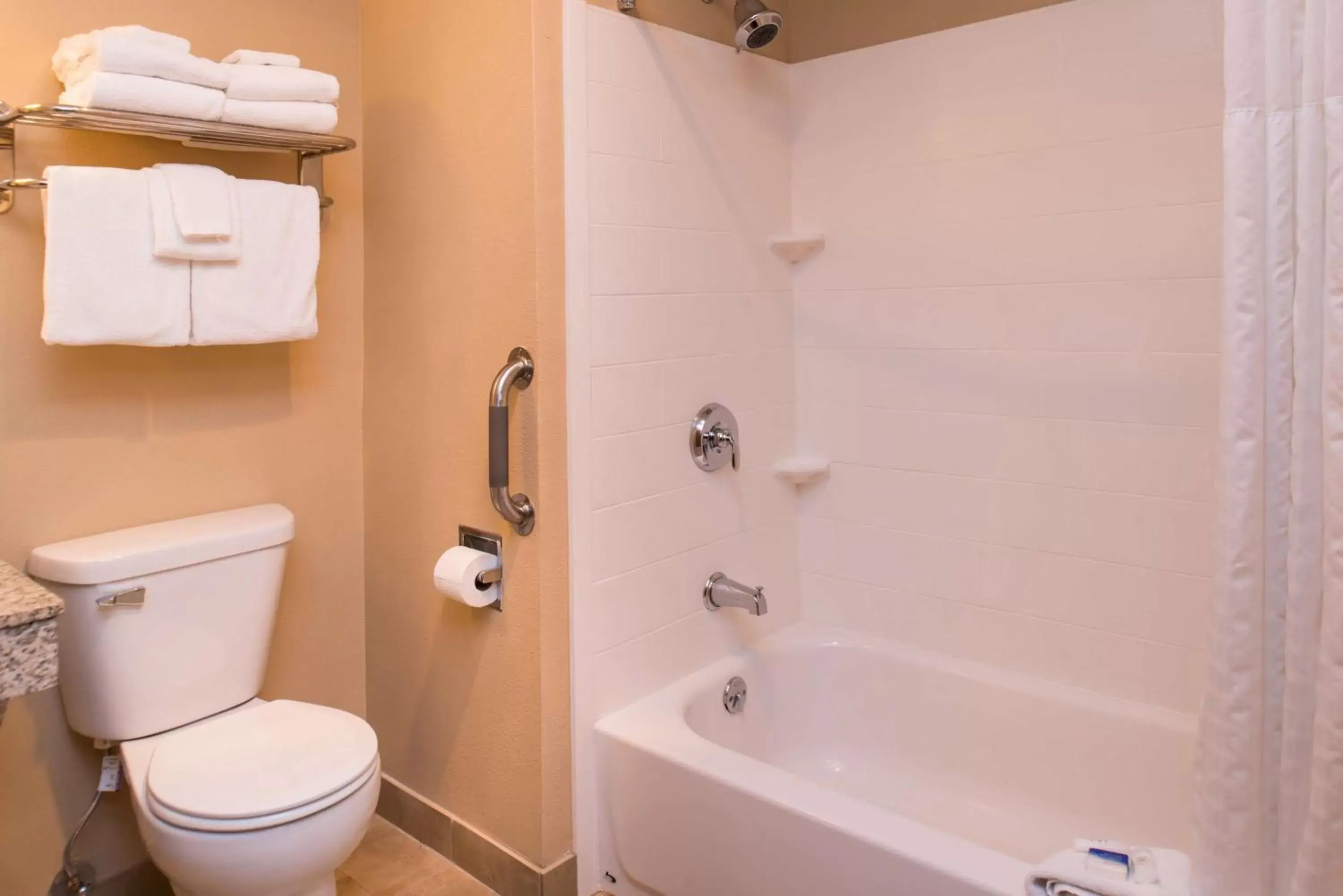 Bathroom in Best Western Ambassador Inn & Suites