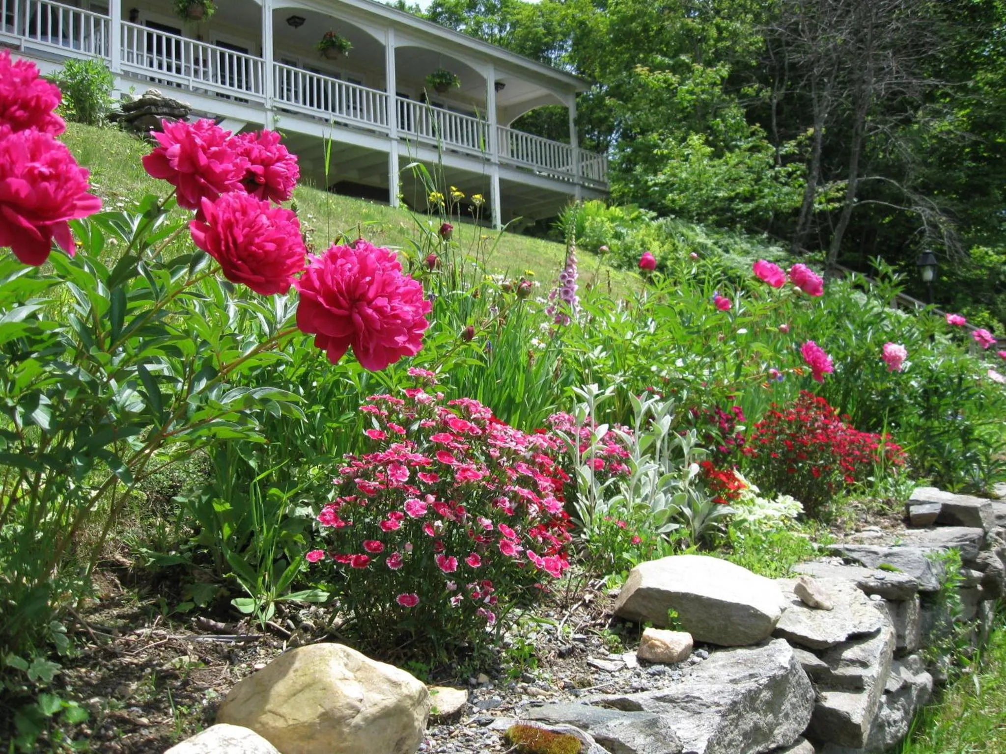 Spring in Deerhill Inn