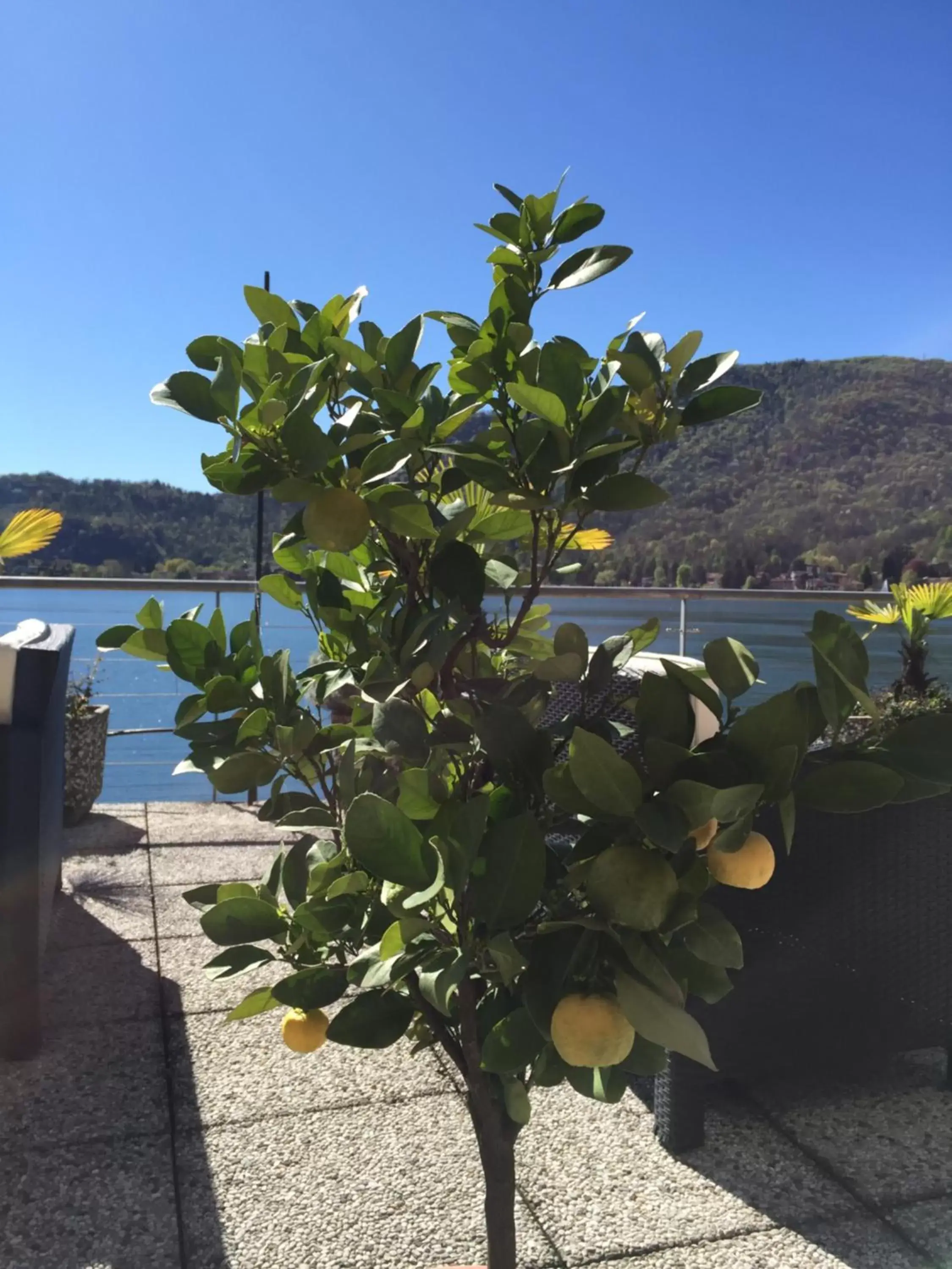 Balcony/Terrace in Tresa Bay Hotel