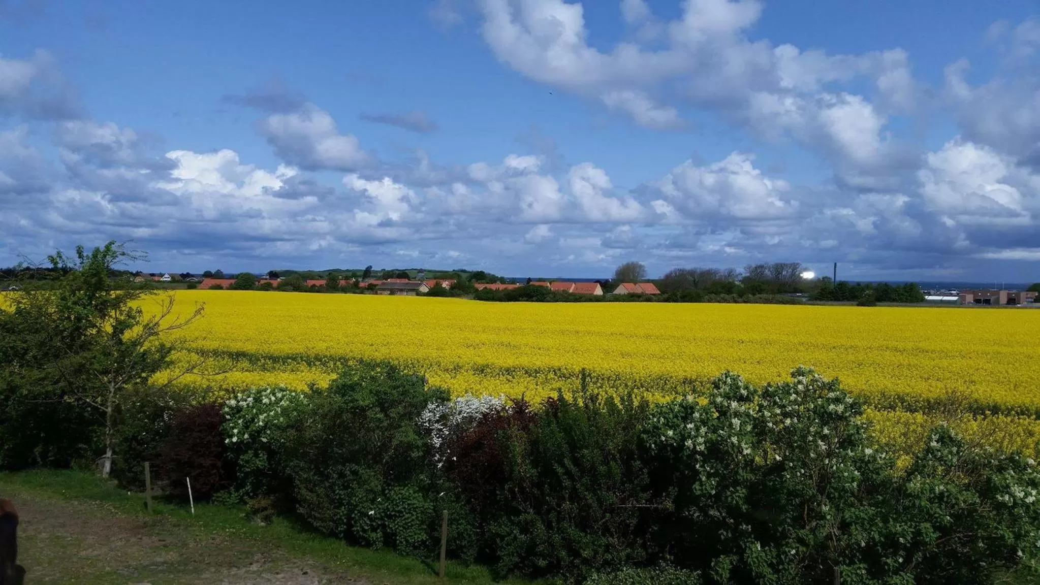 Off site in Skortskær Bondegårdsferie