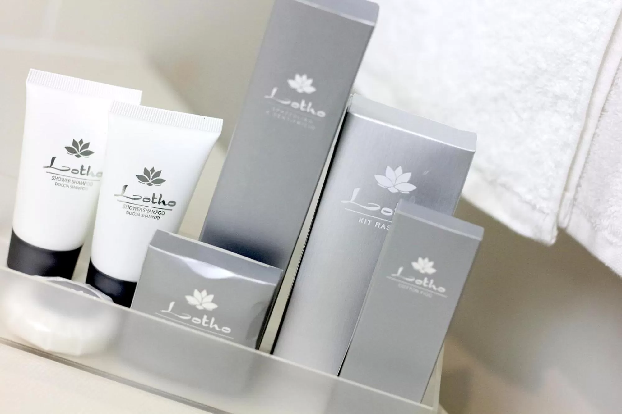 Toilet in B&Bari, via Cairoli - guesthouse Le Case di Aurelia