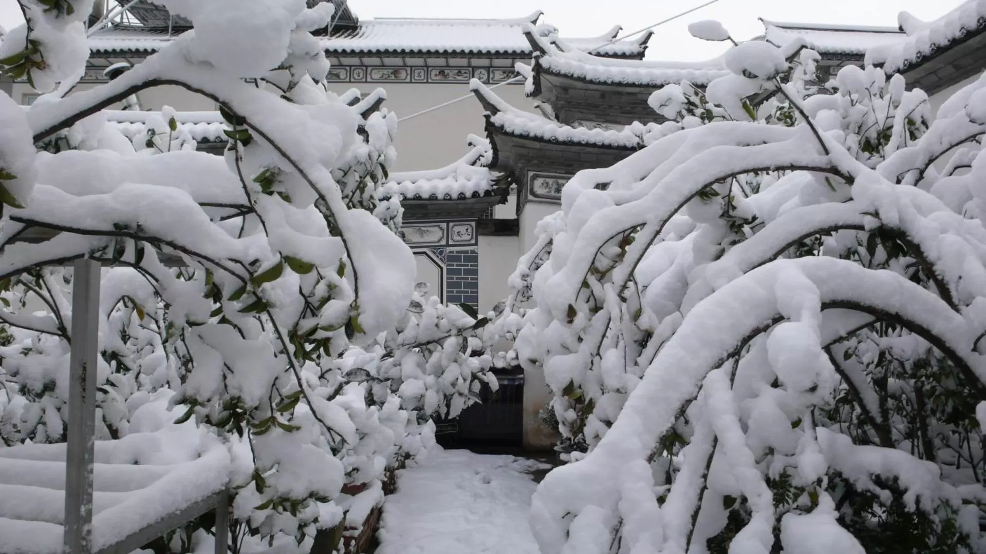 Winter in The Lily Pad Inn