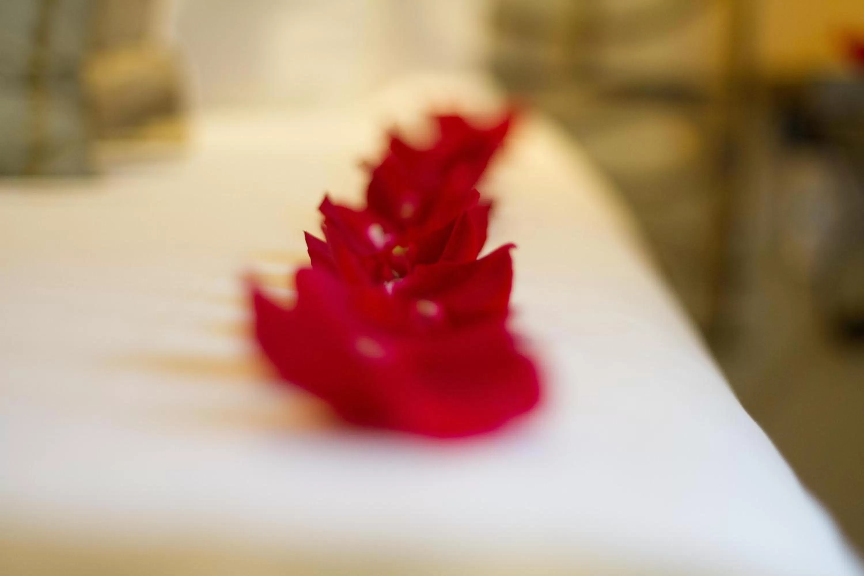 Decorative detail, Bed in Hotel Abaco Altea