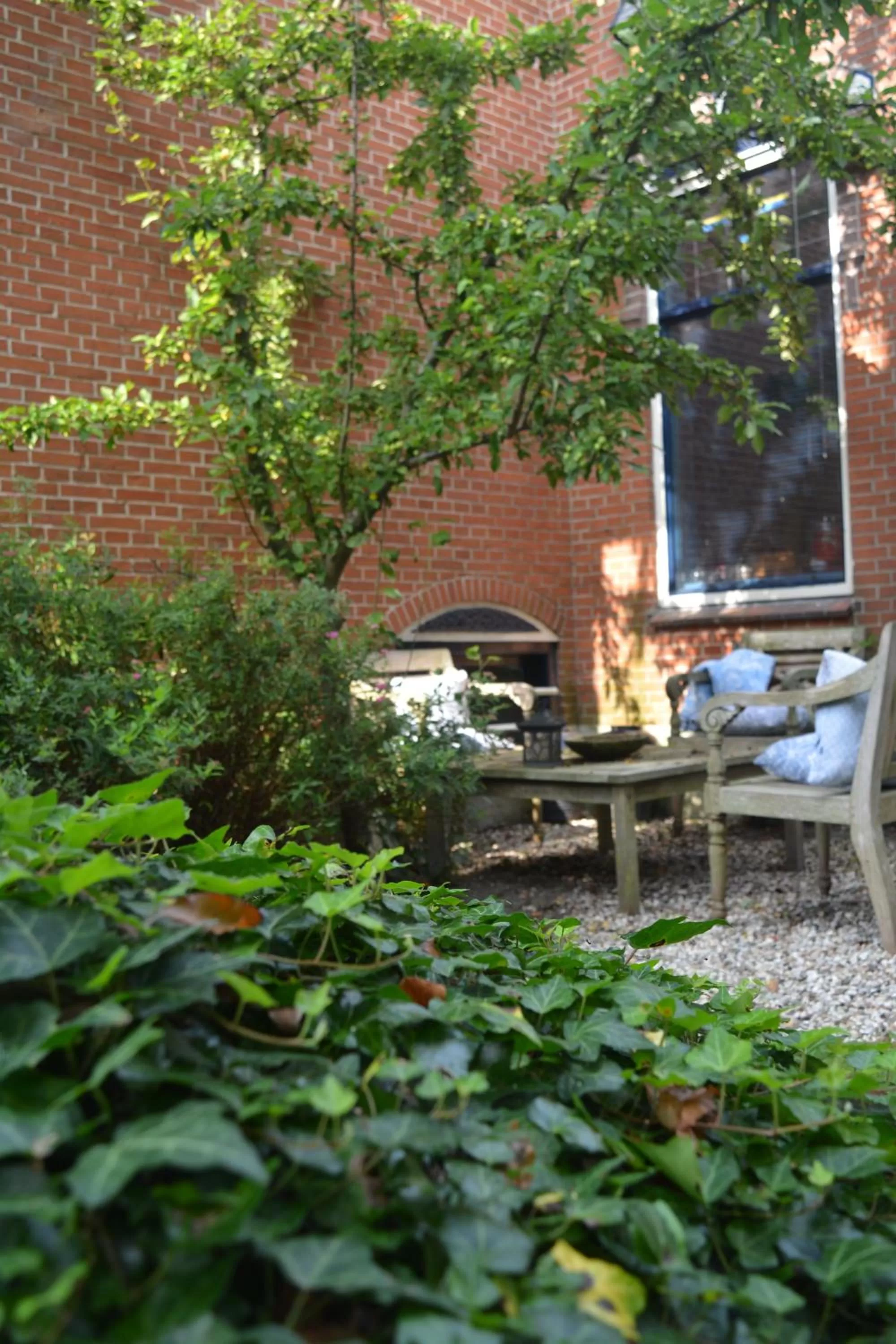 Garden in Tintaglia, betaalbaar en gastvrij