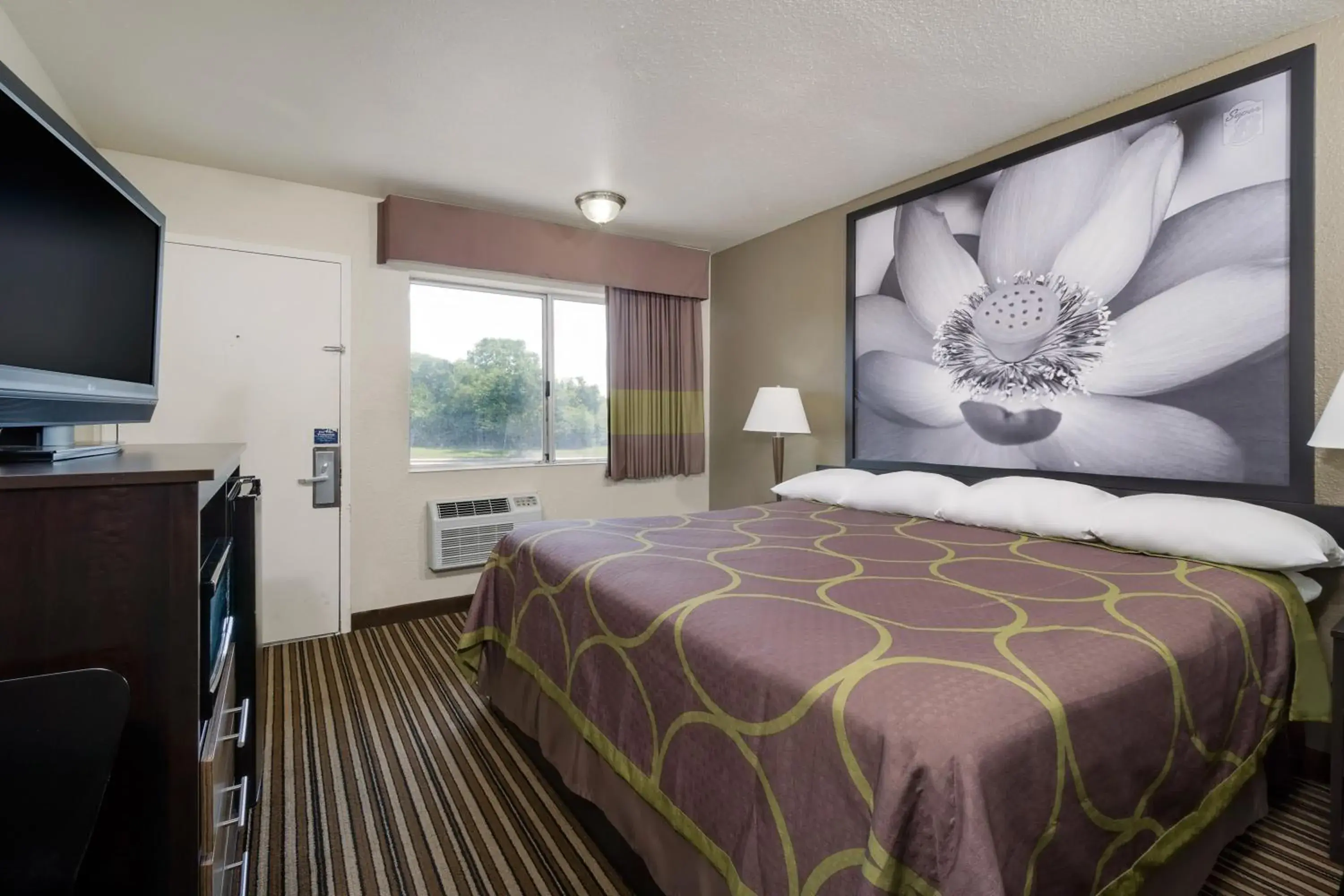Bedroom, Bed in Super 8 by Wyndham Florence