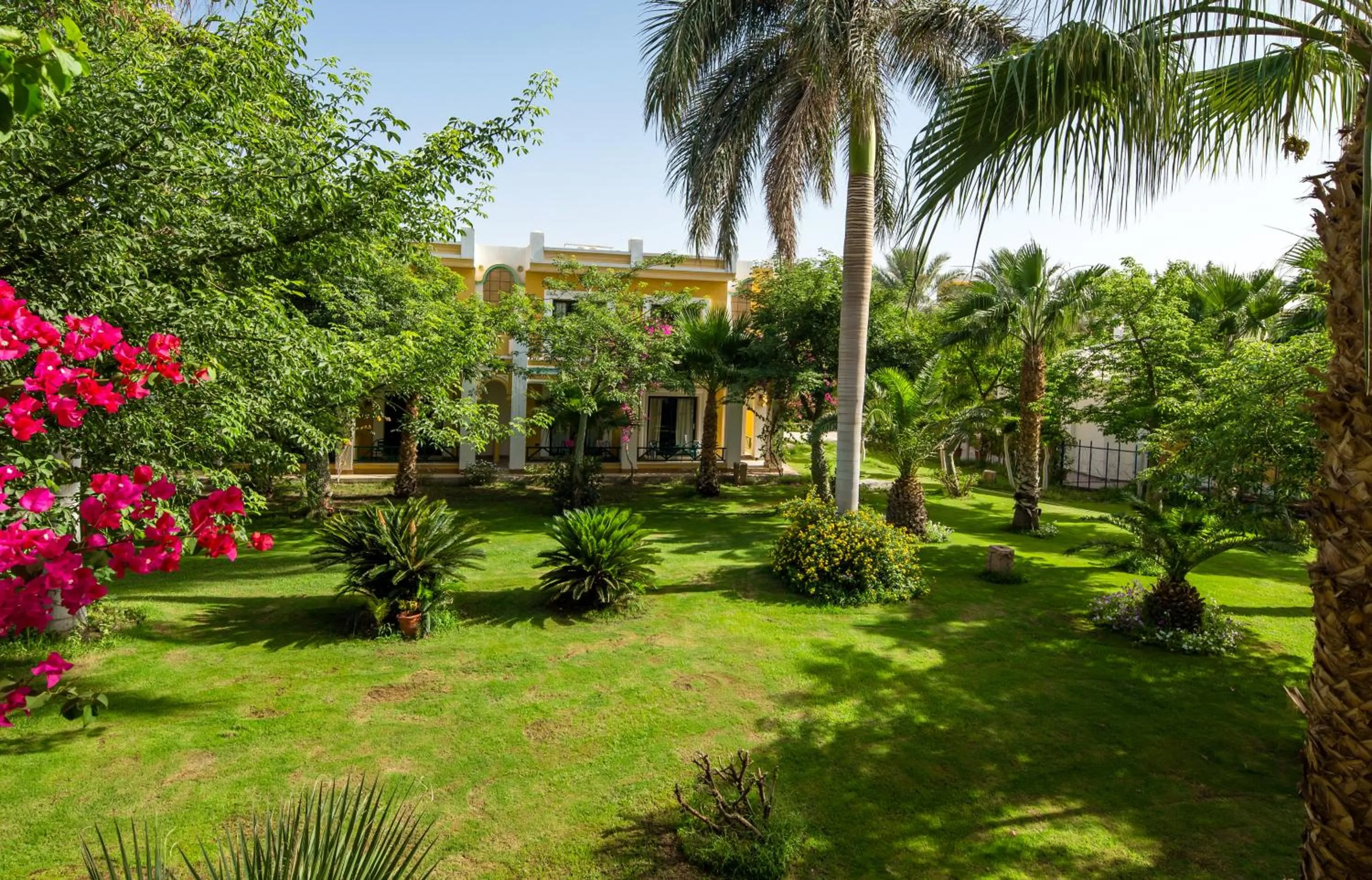 Garden in Mirage Bay Resort & Aqua Park