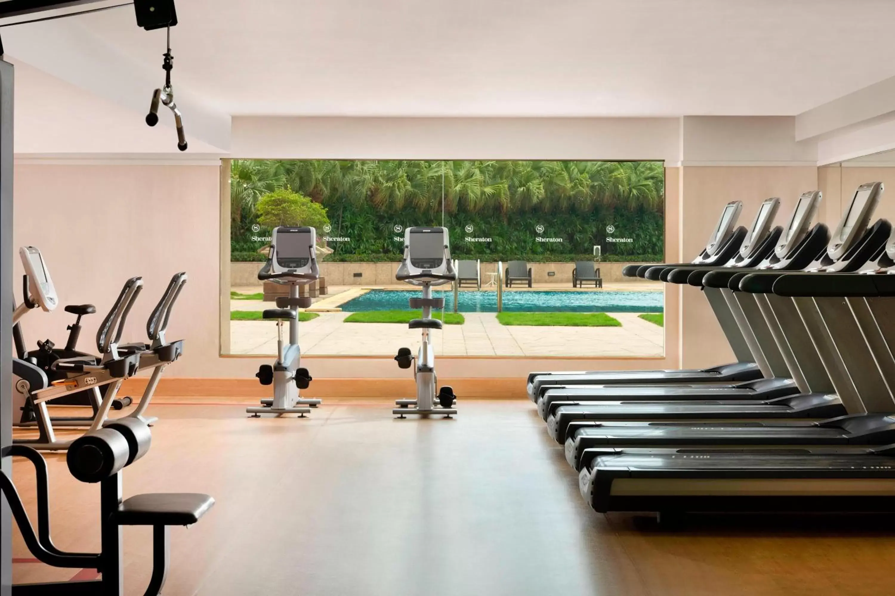 Fitness centre/facilities, Fitness Center/Facilities in Sheraton Dongguan Hotel