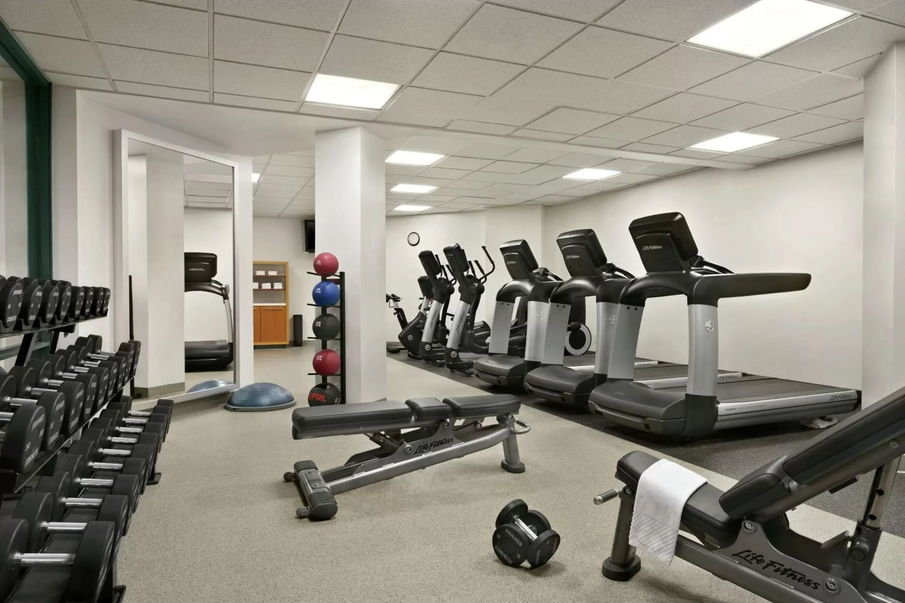 Fitness centre/facilities, Fitness Center/Facilities in Hilton Long Island/Huntington