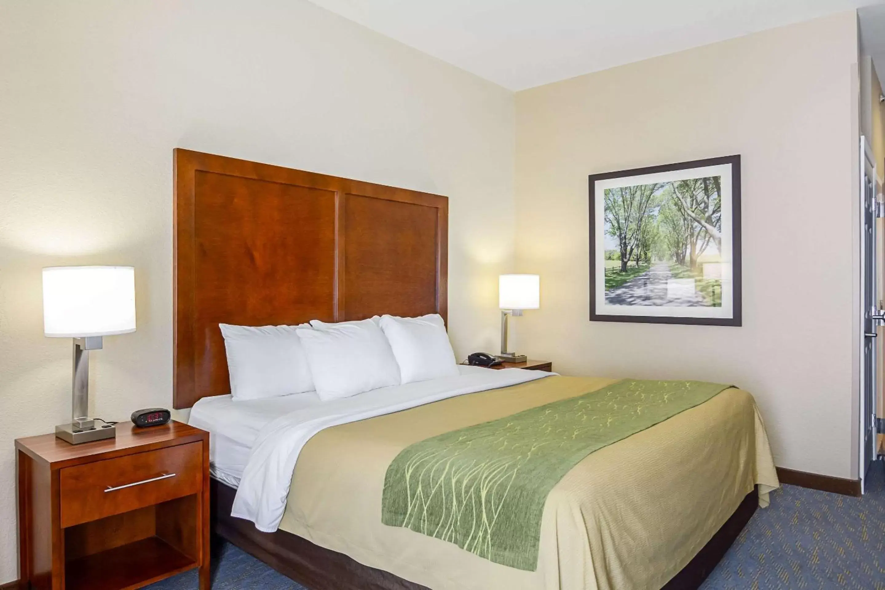 Photo of the whole room, Bed in Comfort Inn Woodstock Shenandoah