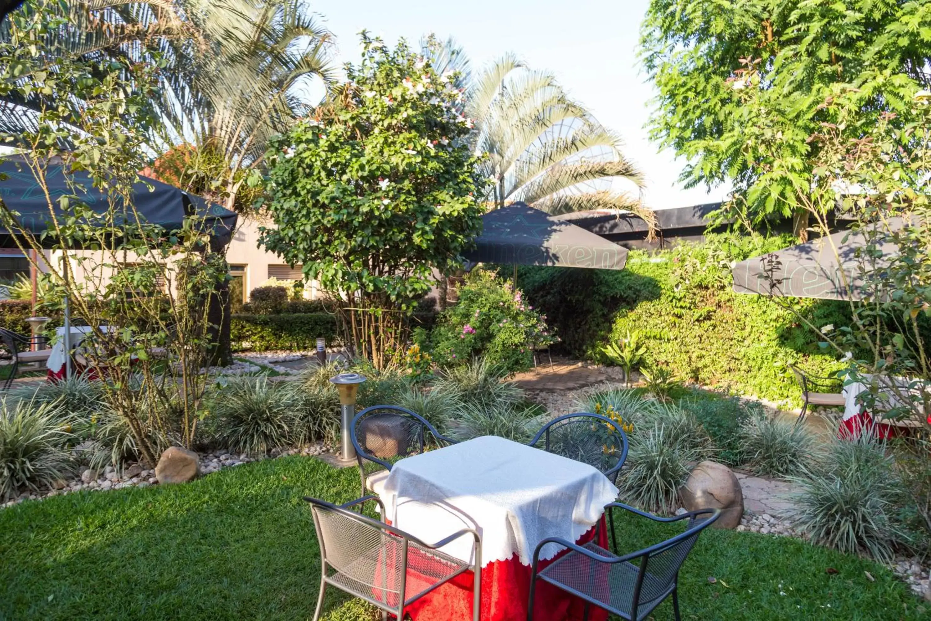 Garden in Olympic Hotel