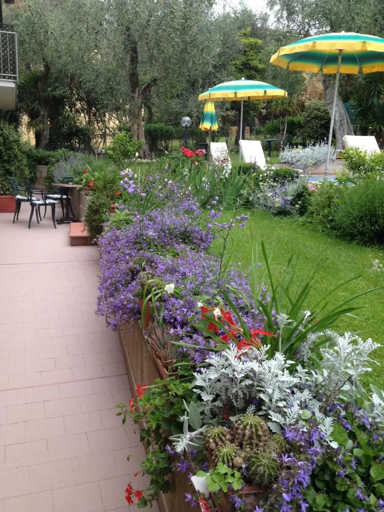 Garden view in Hotel Casa Popi