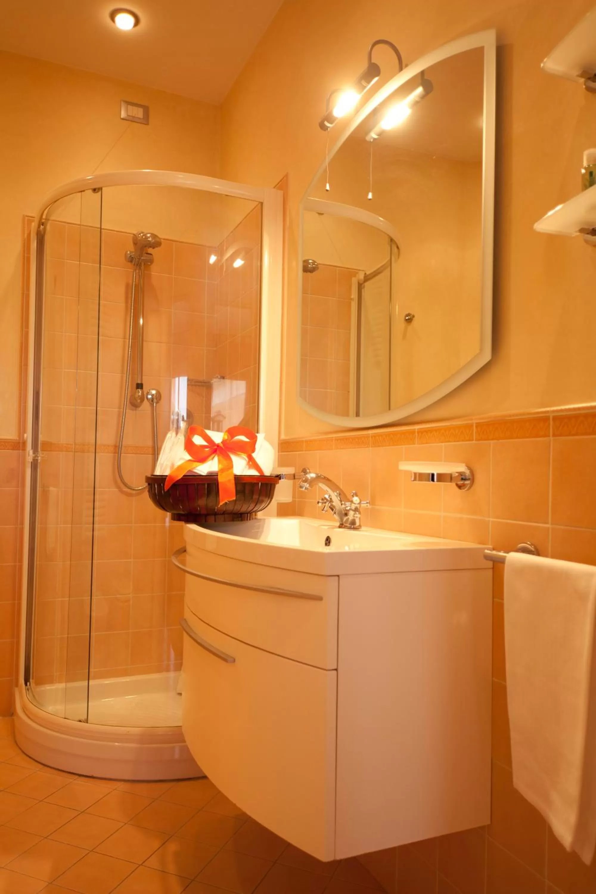 Shower in Exclusive Aparthotel La Reunion