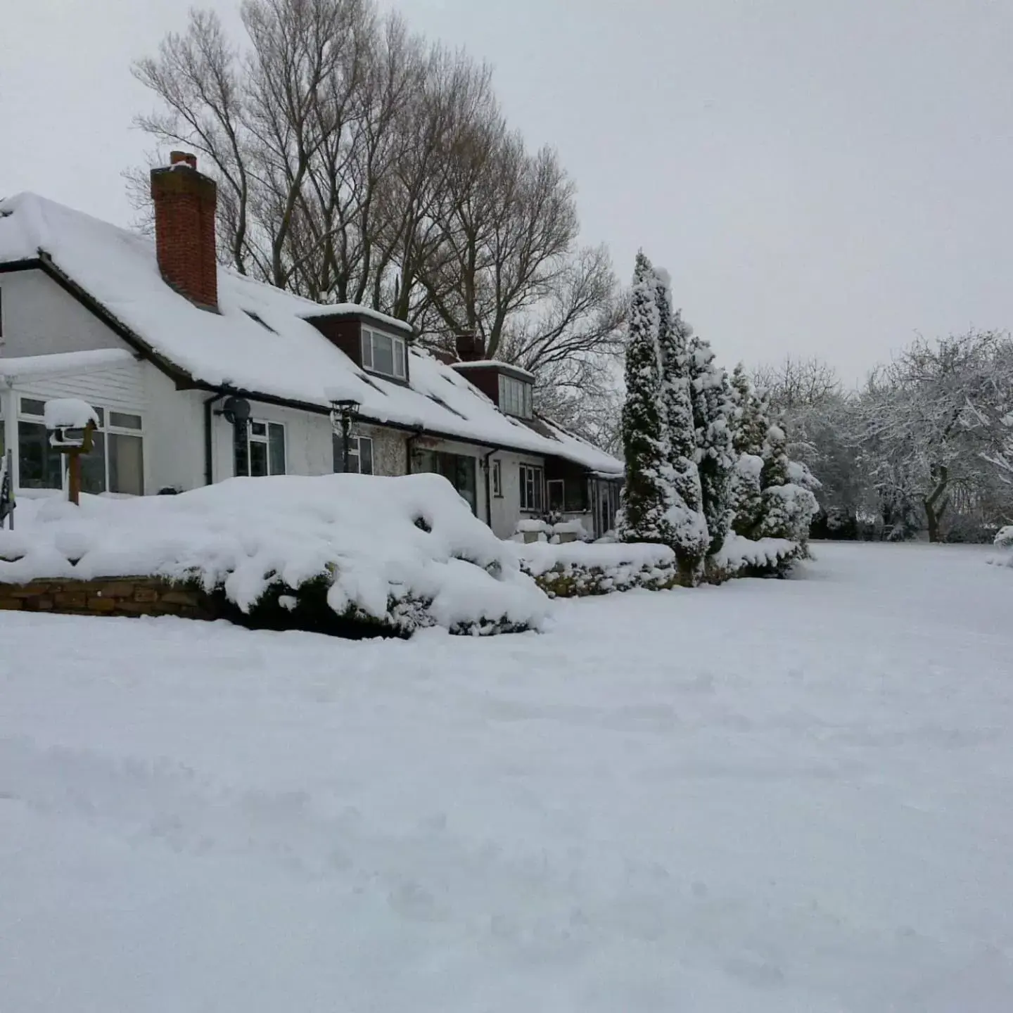 Property building, Winter in Wood Rising