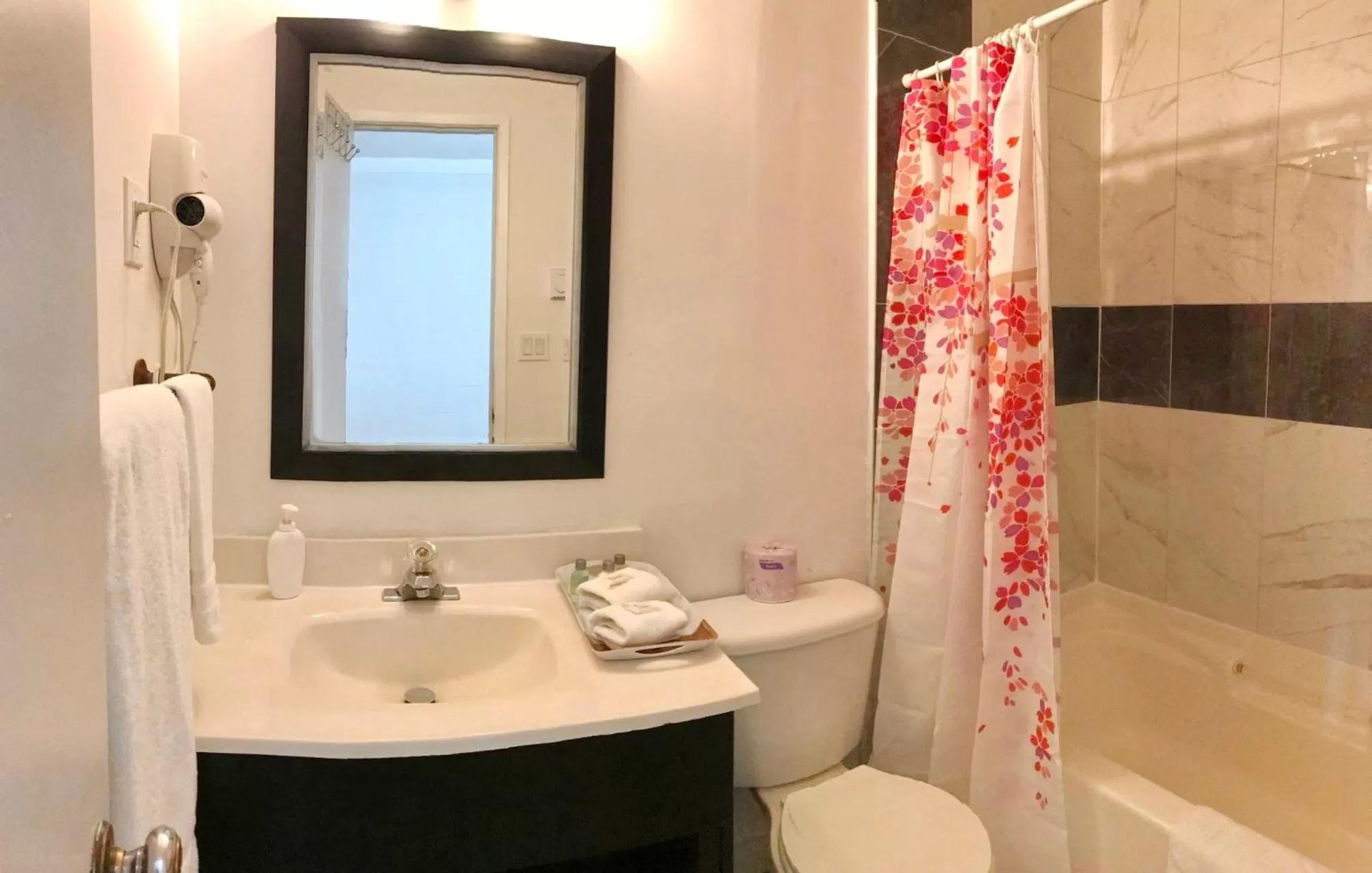 Bathroom in Duncan Motel