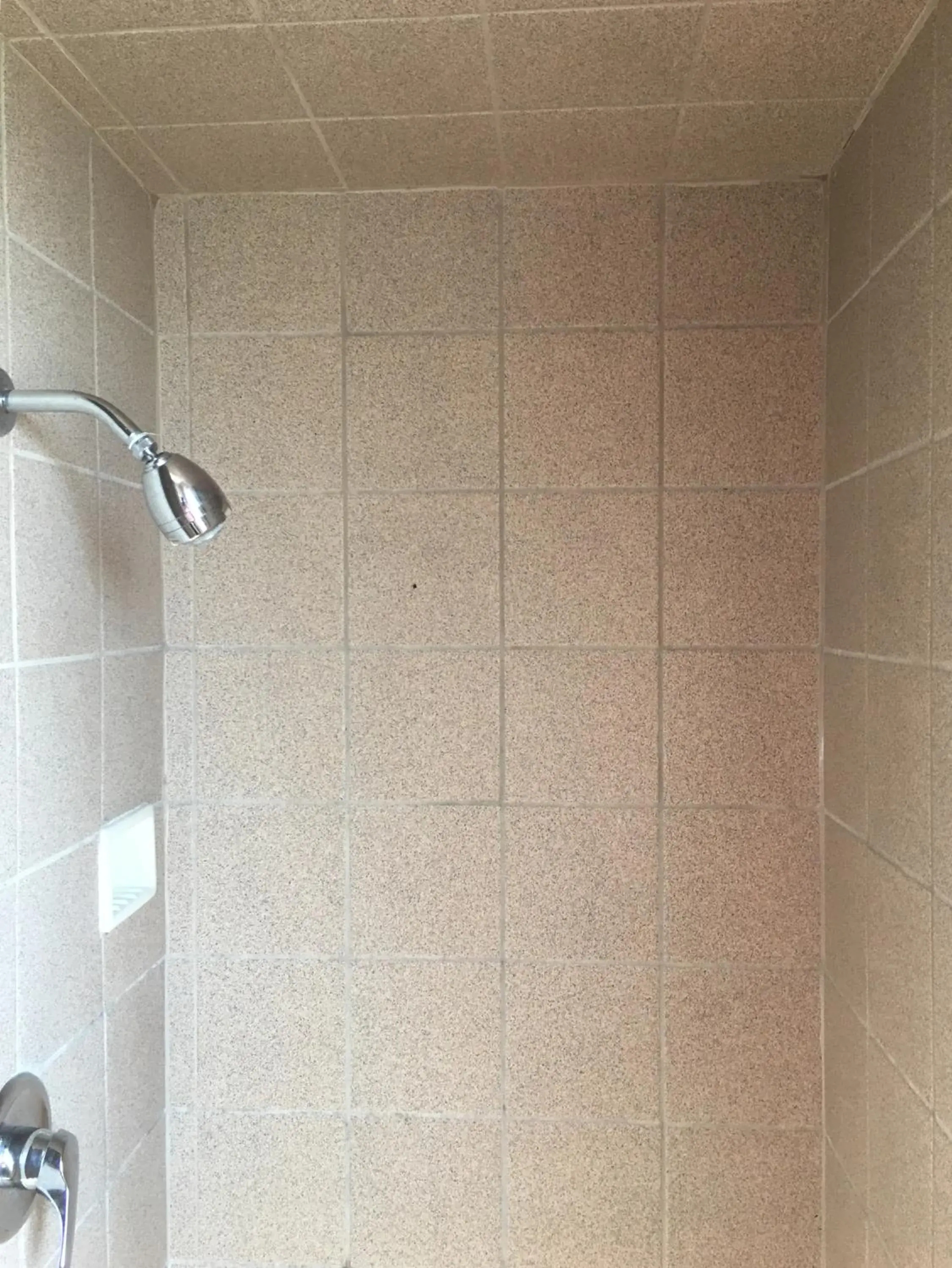 Shower, Bathroom in Motel 6 Richmond CA Civic Center
