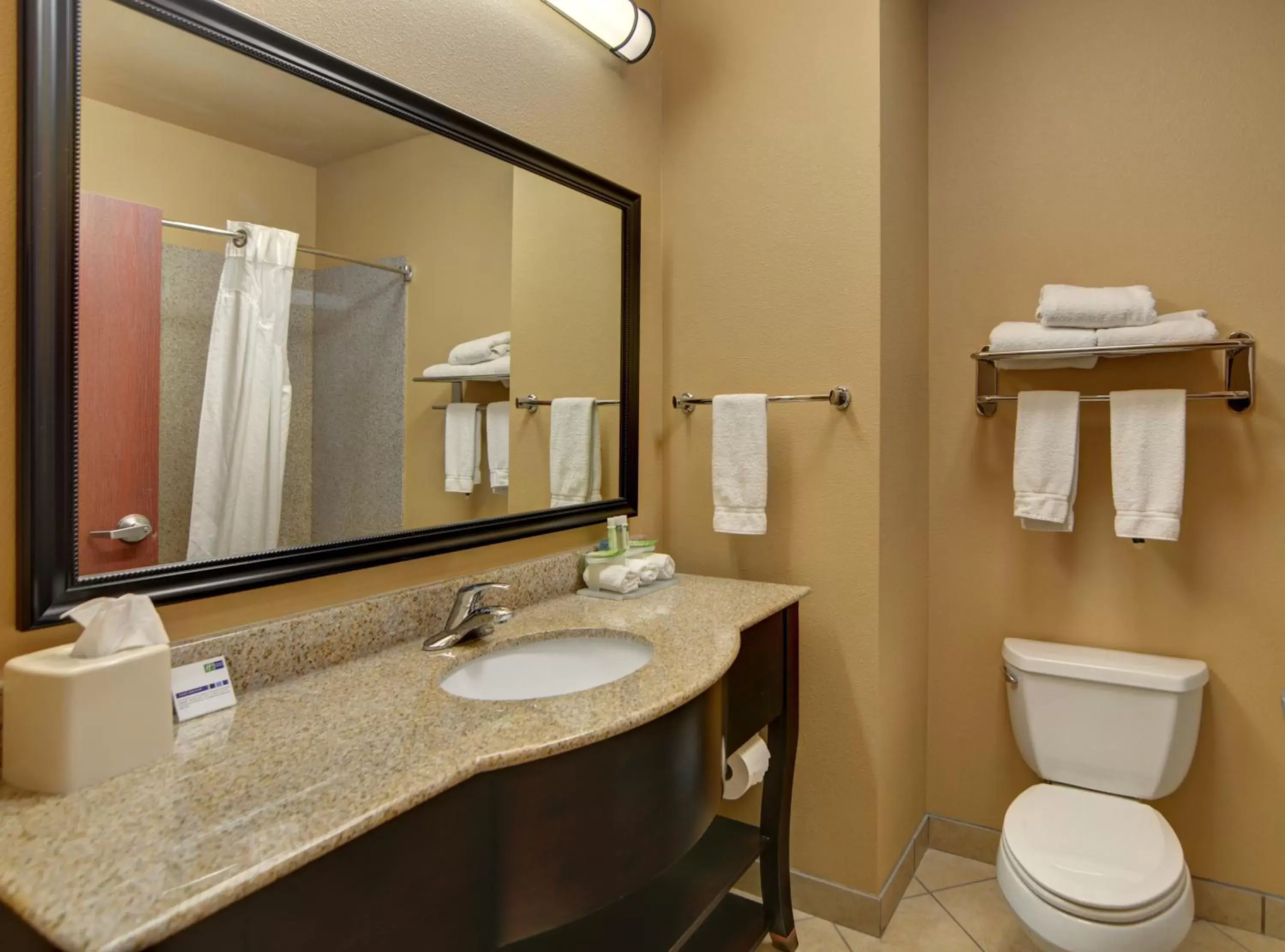 Bathroom in Holiday Inn Express Hotel and Suites Altus, an IHG Hotel