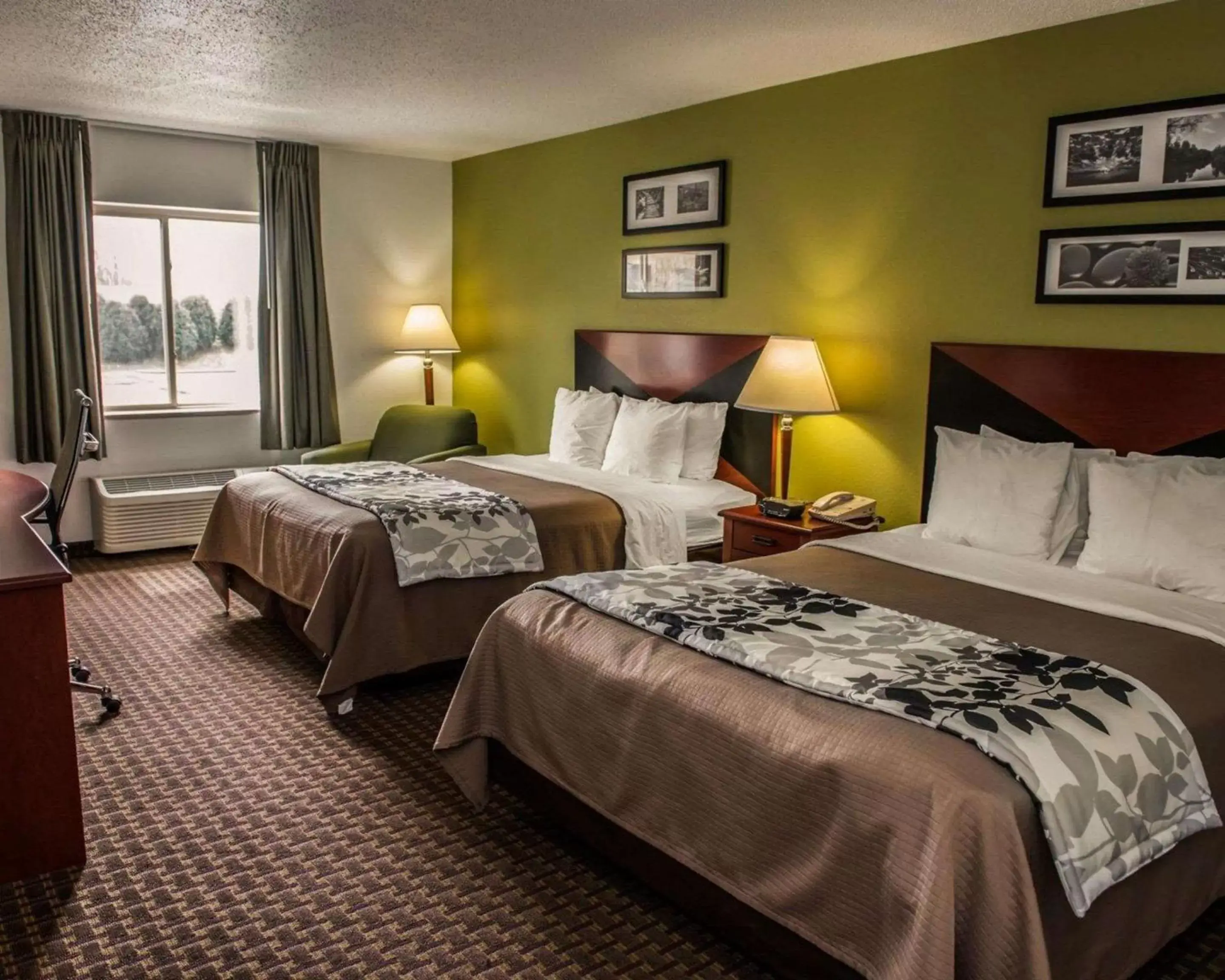 Photo of the whole room, Bed in Sleep Inn South Bend Airport
