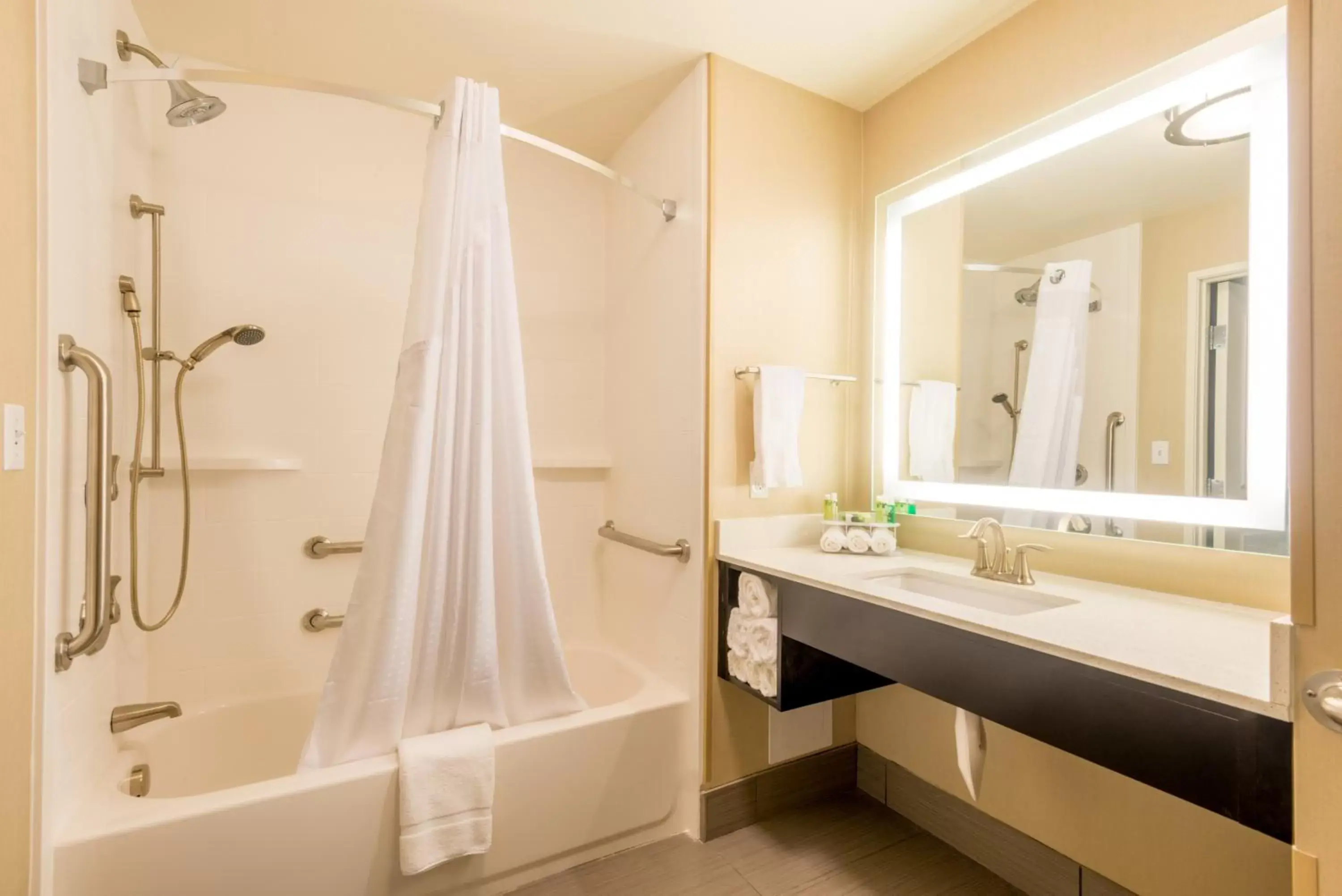 Bathroom in Holiday Inn Express & Suites Denver South - Castle Rock, an IHG Hotel