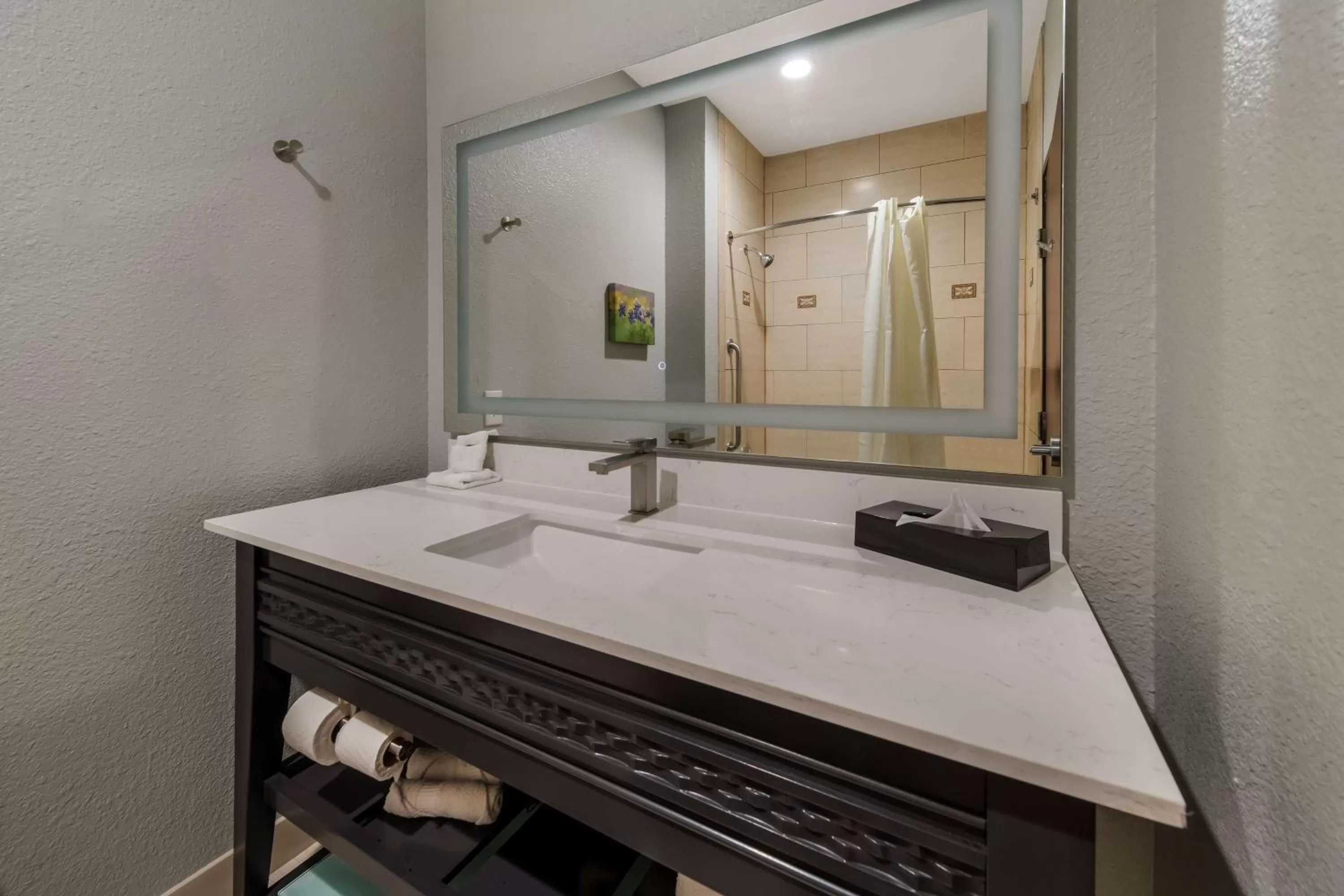 Bathroom in Best Western Bowie Inn & Suites