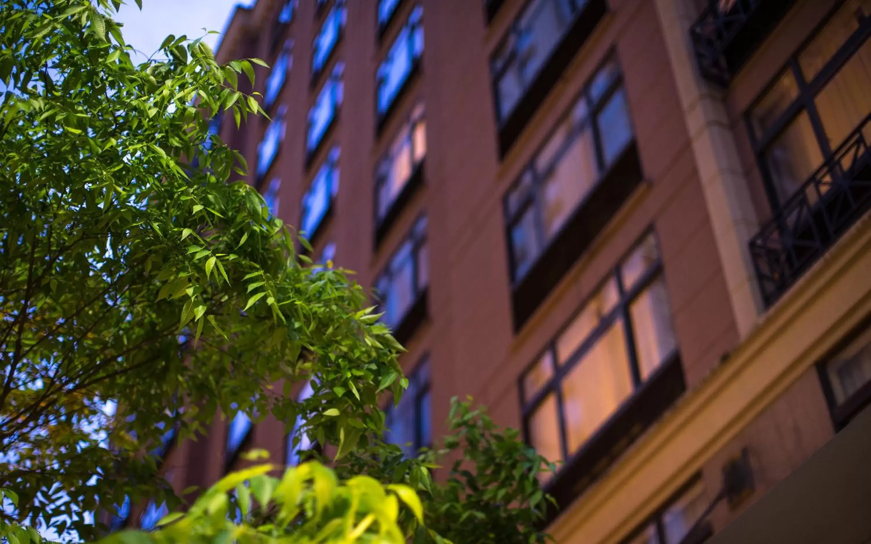 Property Building in The Paramount Hotel