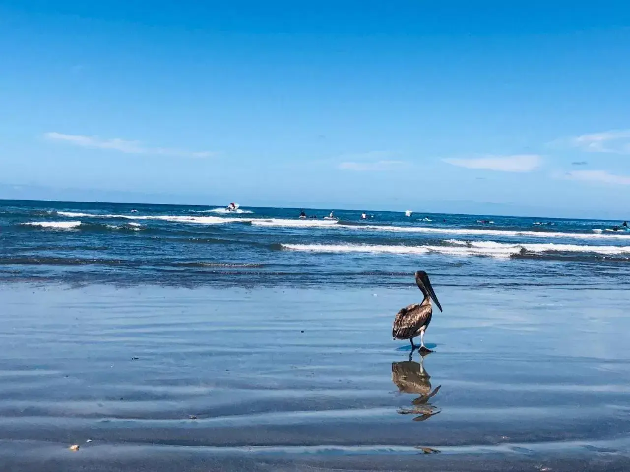 Fishing in Hotel Ysuri Sayulita