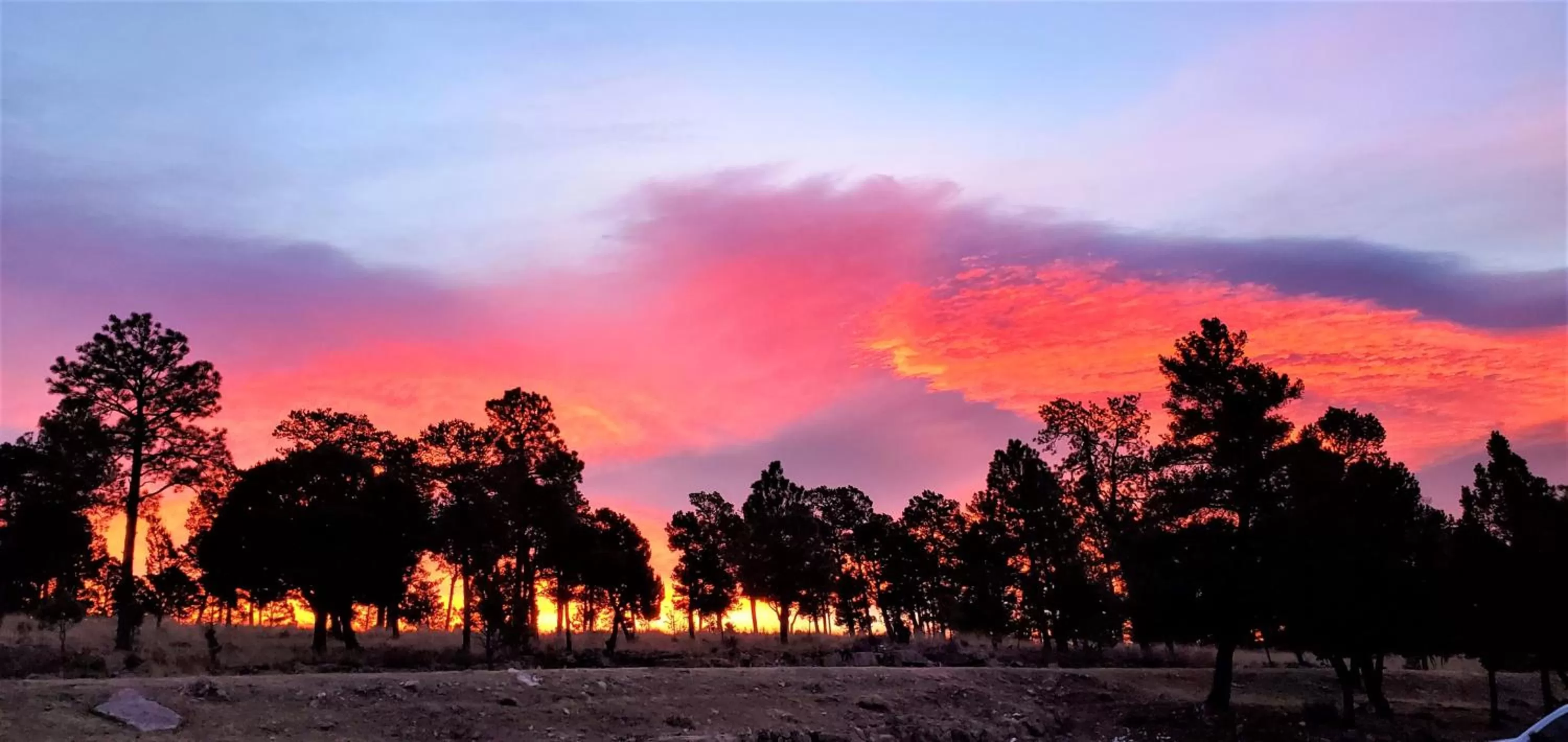 Natural landscape in High Sierra Condominiums