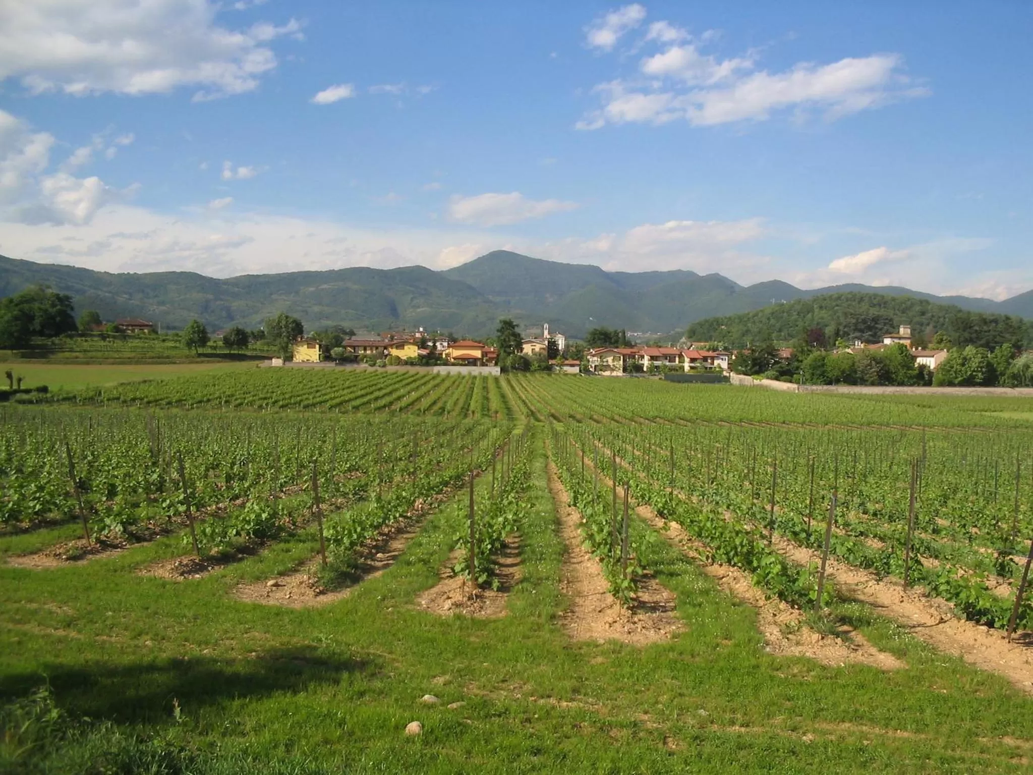 Natural landscape in La Corte B&B