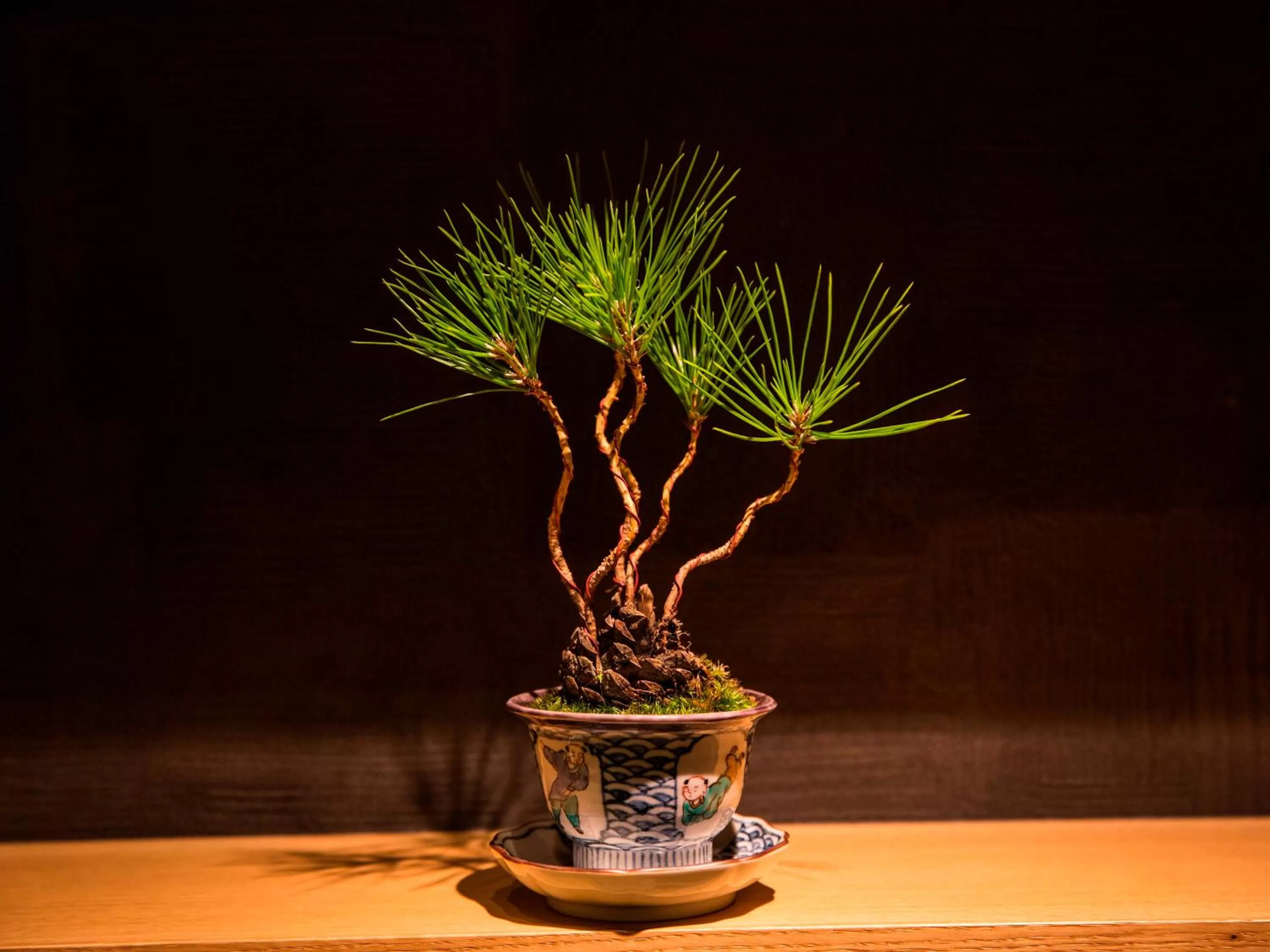 Decorative detail in UAN kanazawa