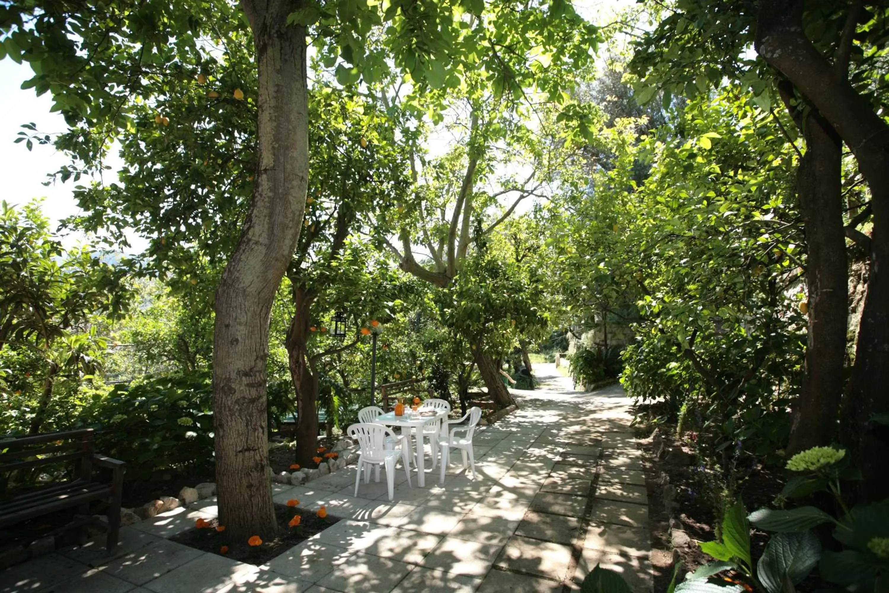 Patio in Agriturismo b&b L arancio In fiore