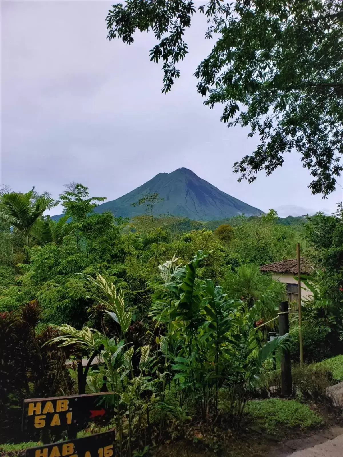 View (from property/room), Mountain View in Hotel Kokoro Mineral Hot Springs