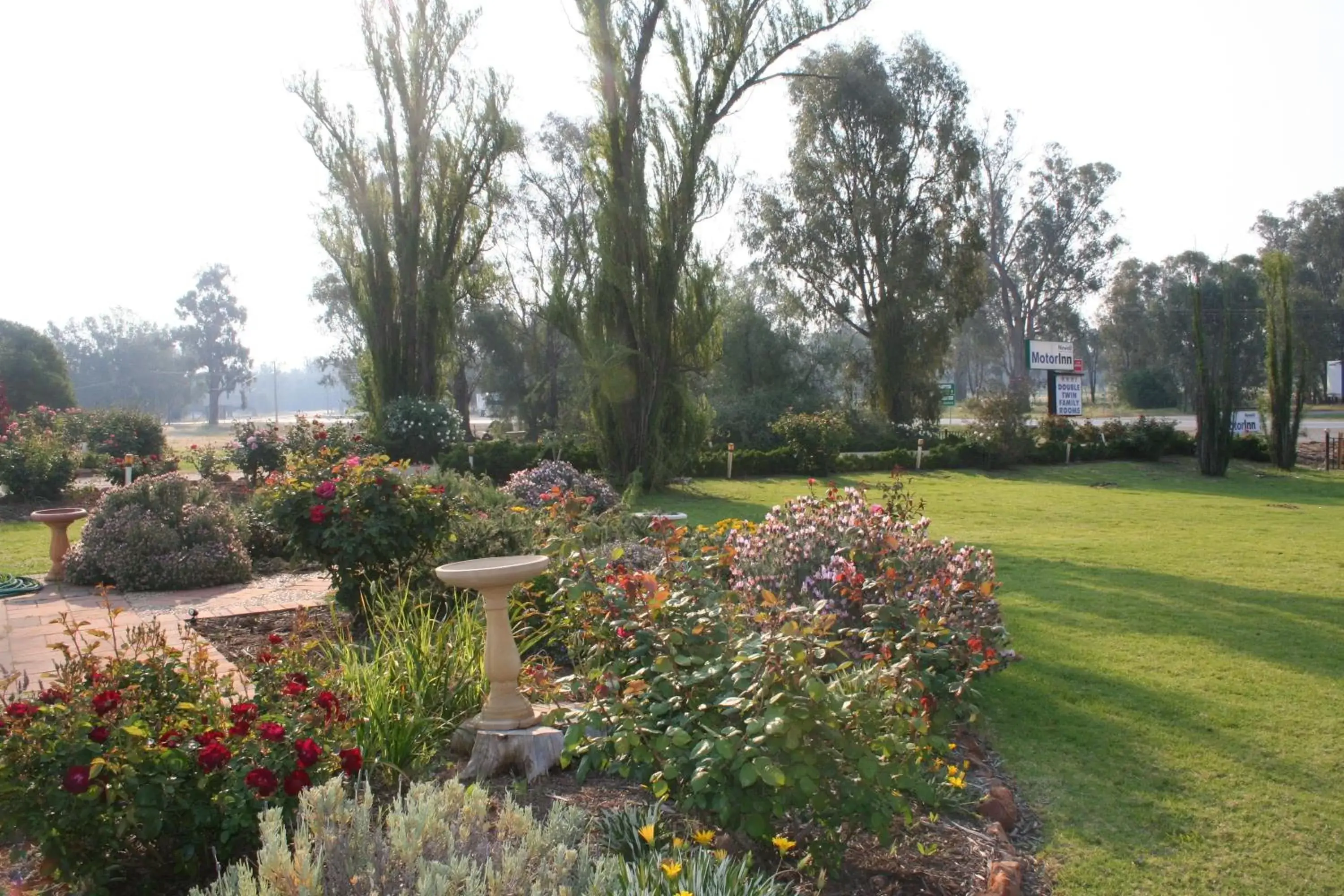 Garden in Newell Motor Inn Narrandera