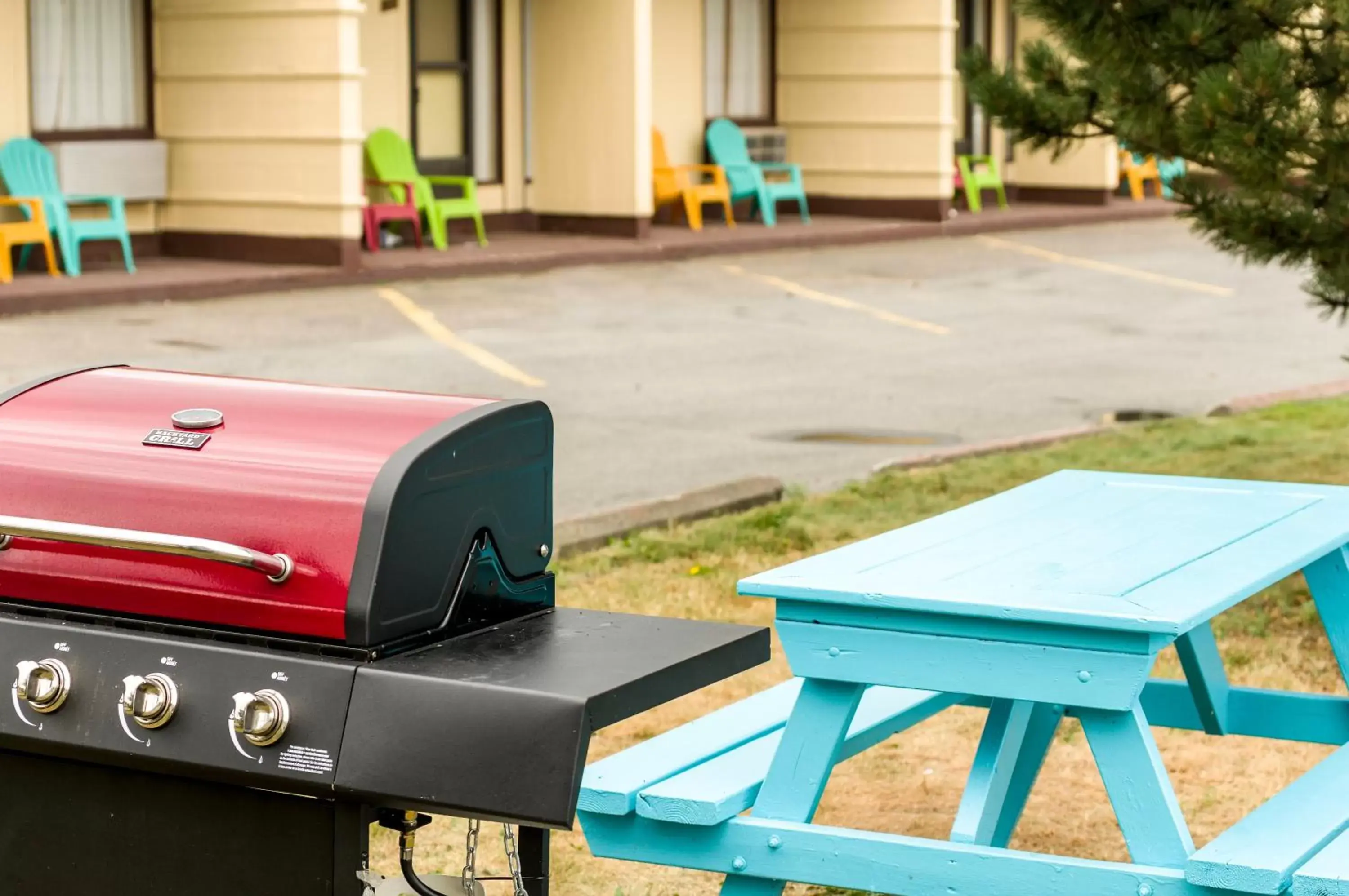 BBQ facilities in Mount Peyton Resort & Conference Centre