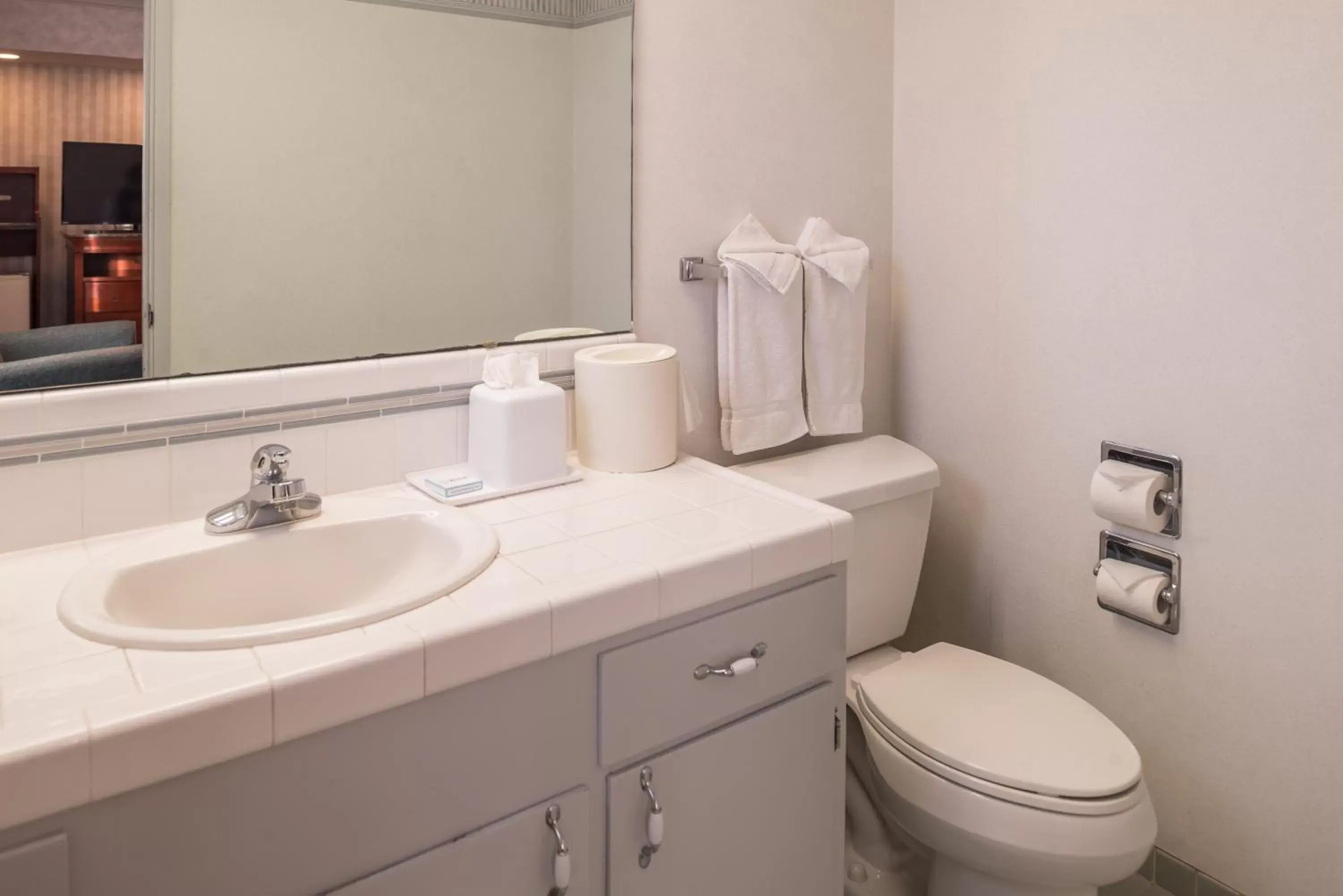 Bathroom in Laurel Inn & Conference Center