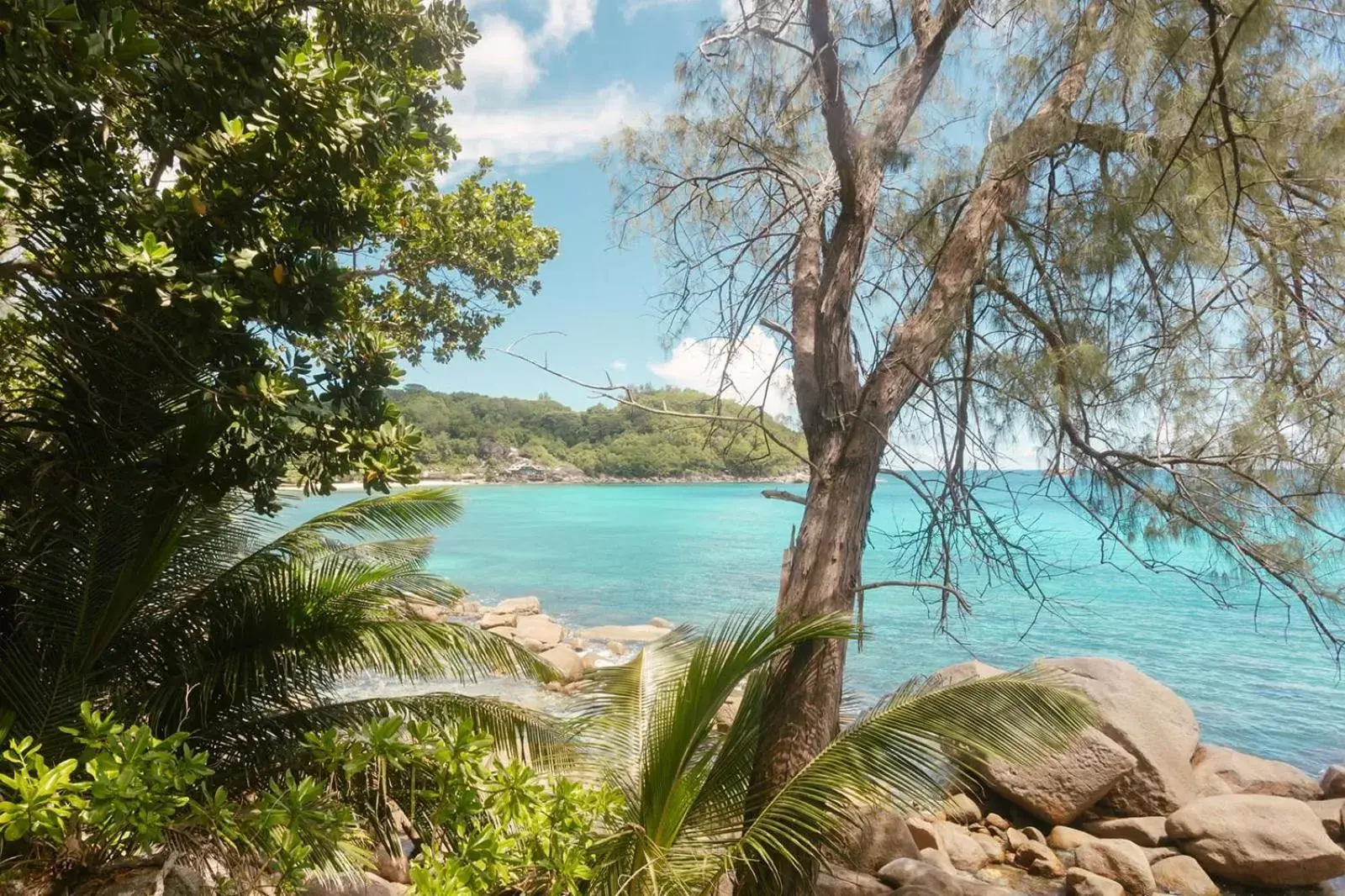 Beach in STORY Seychelles