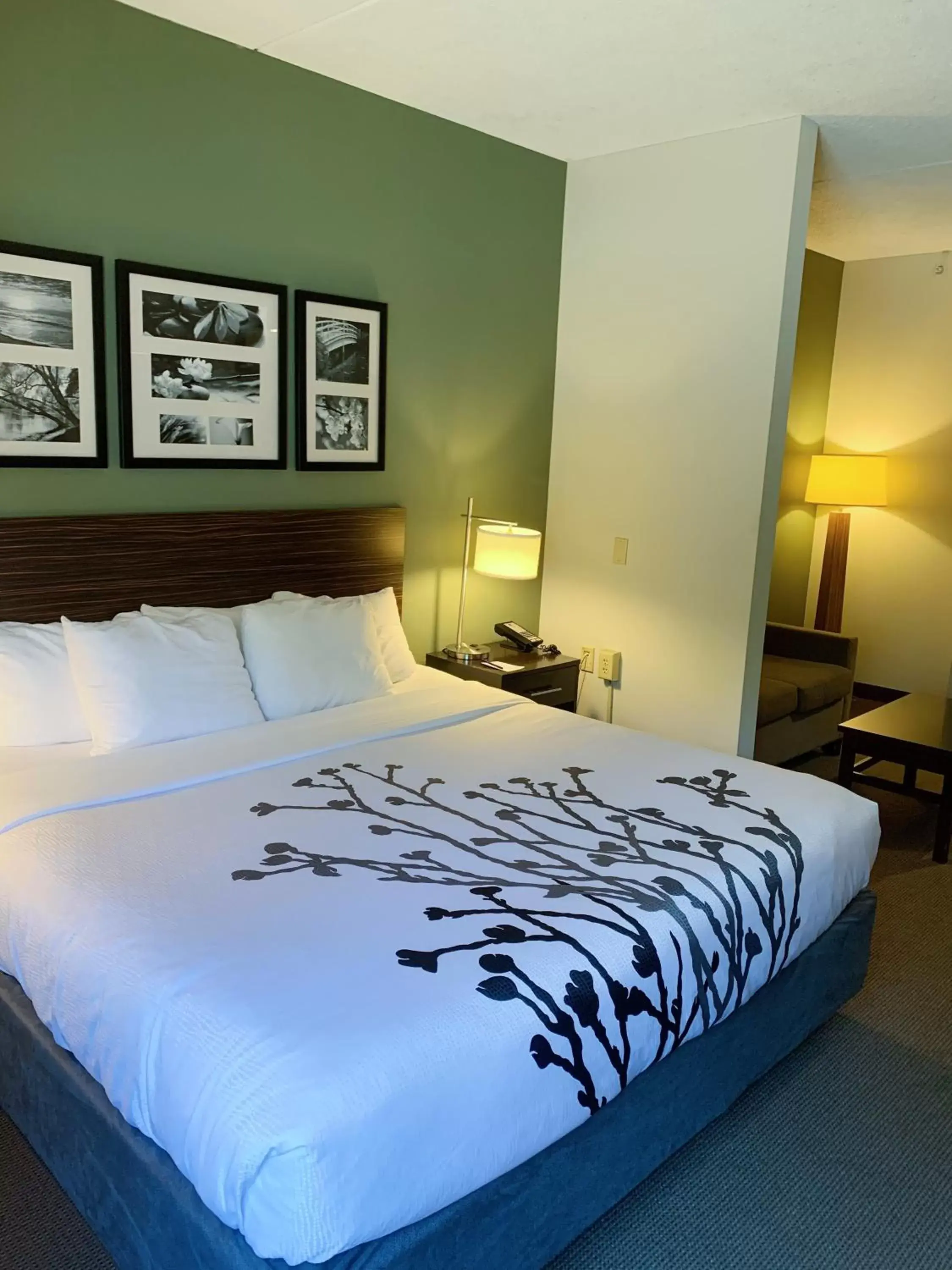 King Suite with Whirlpool and Sofa Bed - Non-Smoking in Sleep Inn & Suites Queensbury - Lake George