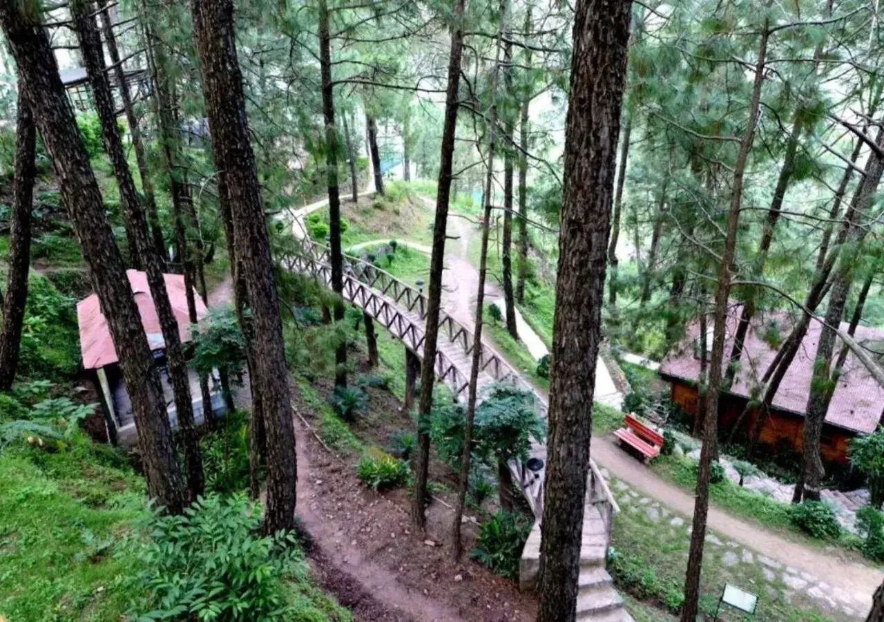 Natural landscape in Kasauli Hills Resort