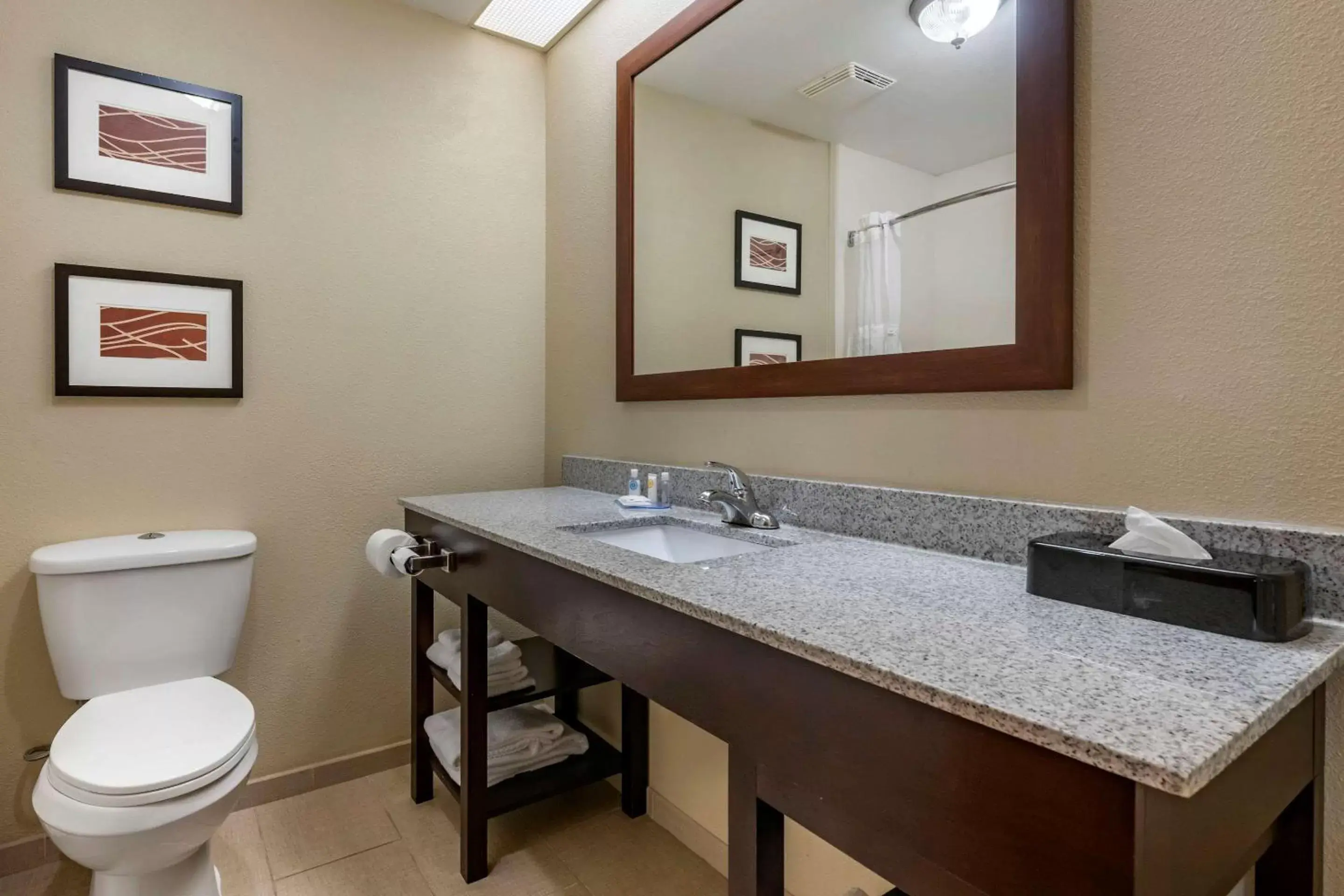 Bathroom in Comfort Inn & Suites DeLand - near University