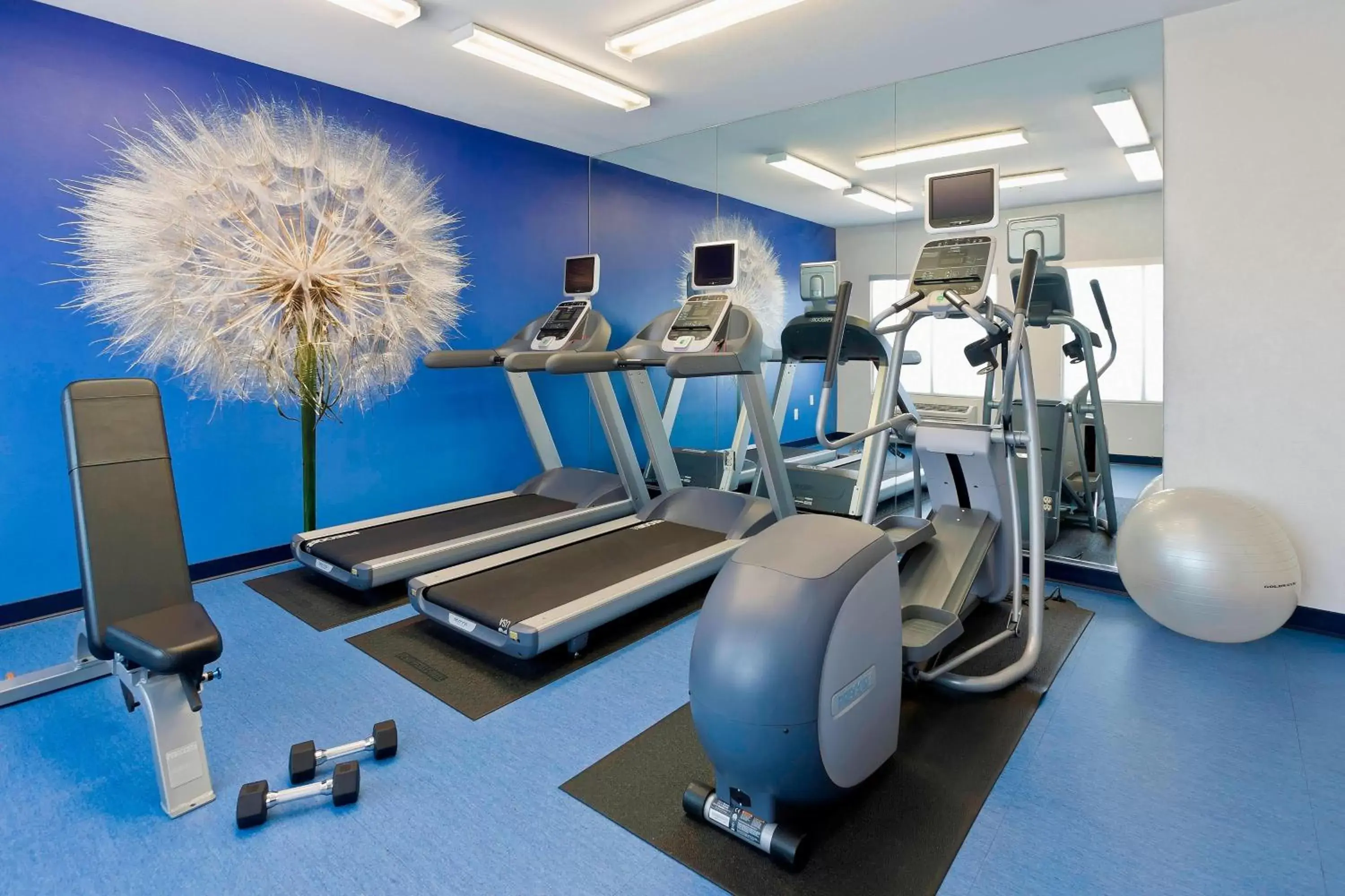 Fitness centre/facilities, Fitness Center/Facilities in SpringHill Suites Phoenix North