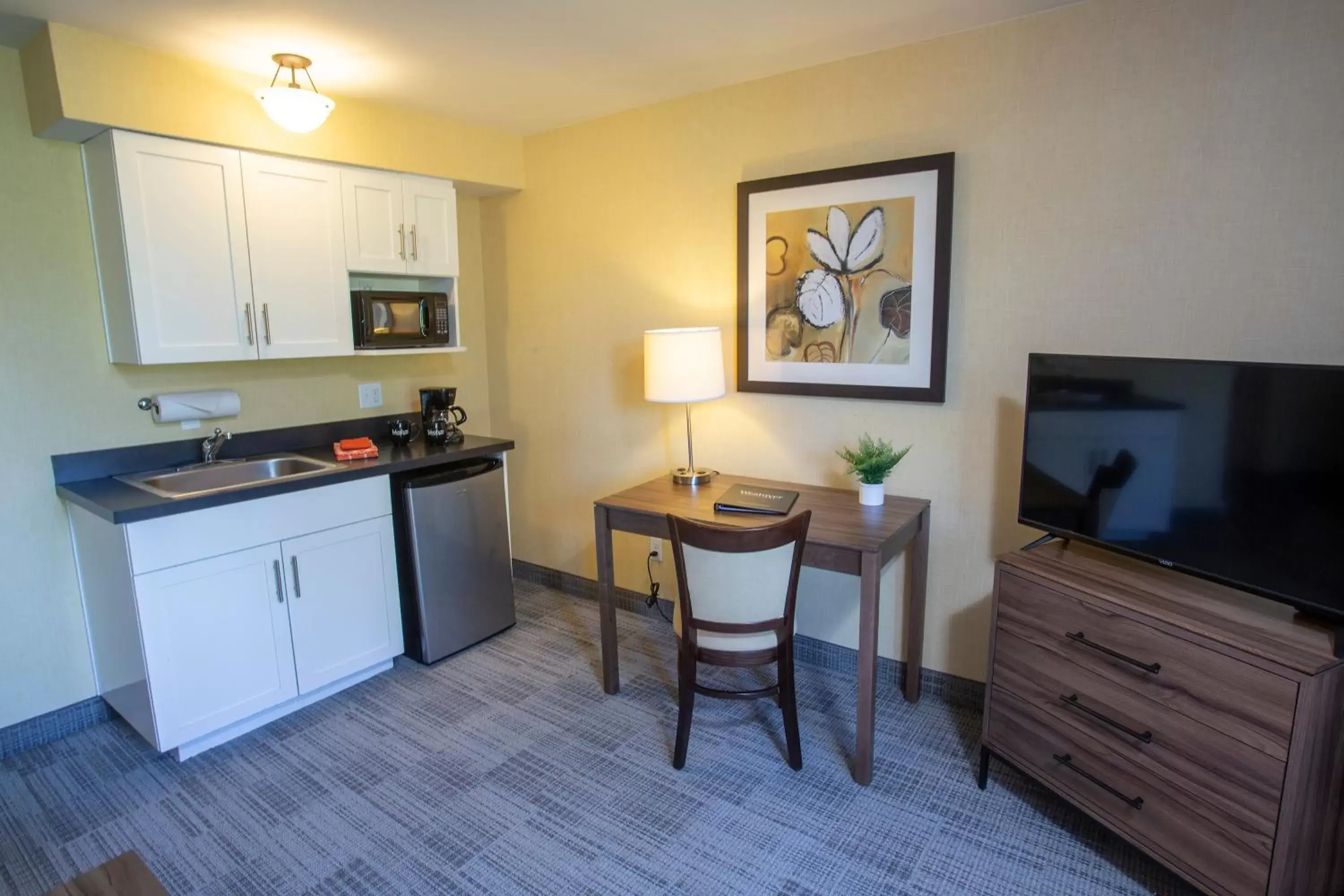 TV and multimedia, Kitchen/Kitchenette in Lakeshore Inn